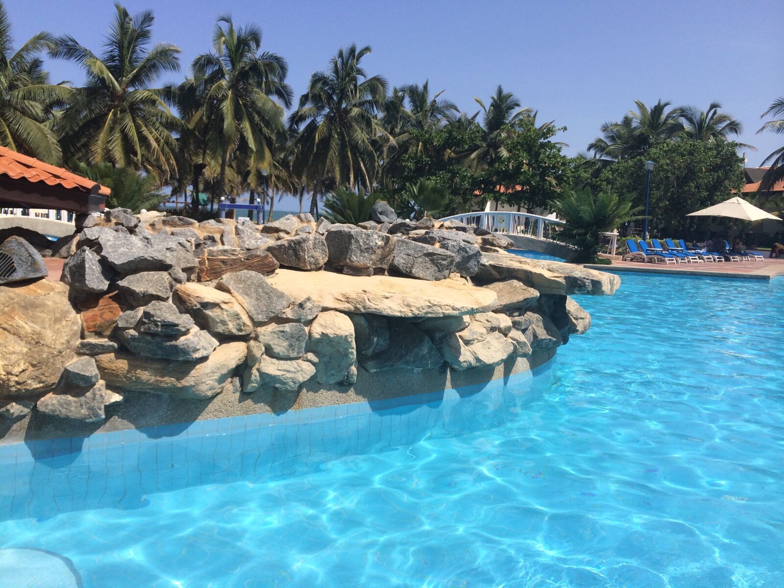 iPhone 5s back camera 4.12mm f/2.2 sample photo. Swimming, pool, trees, water photography