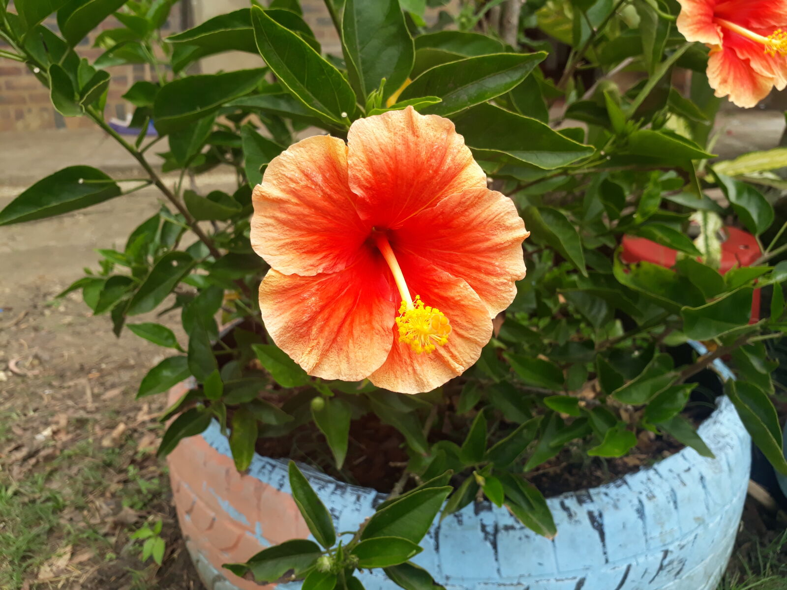 Samsung Galaxy J7 Prime sample photo