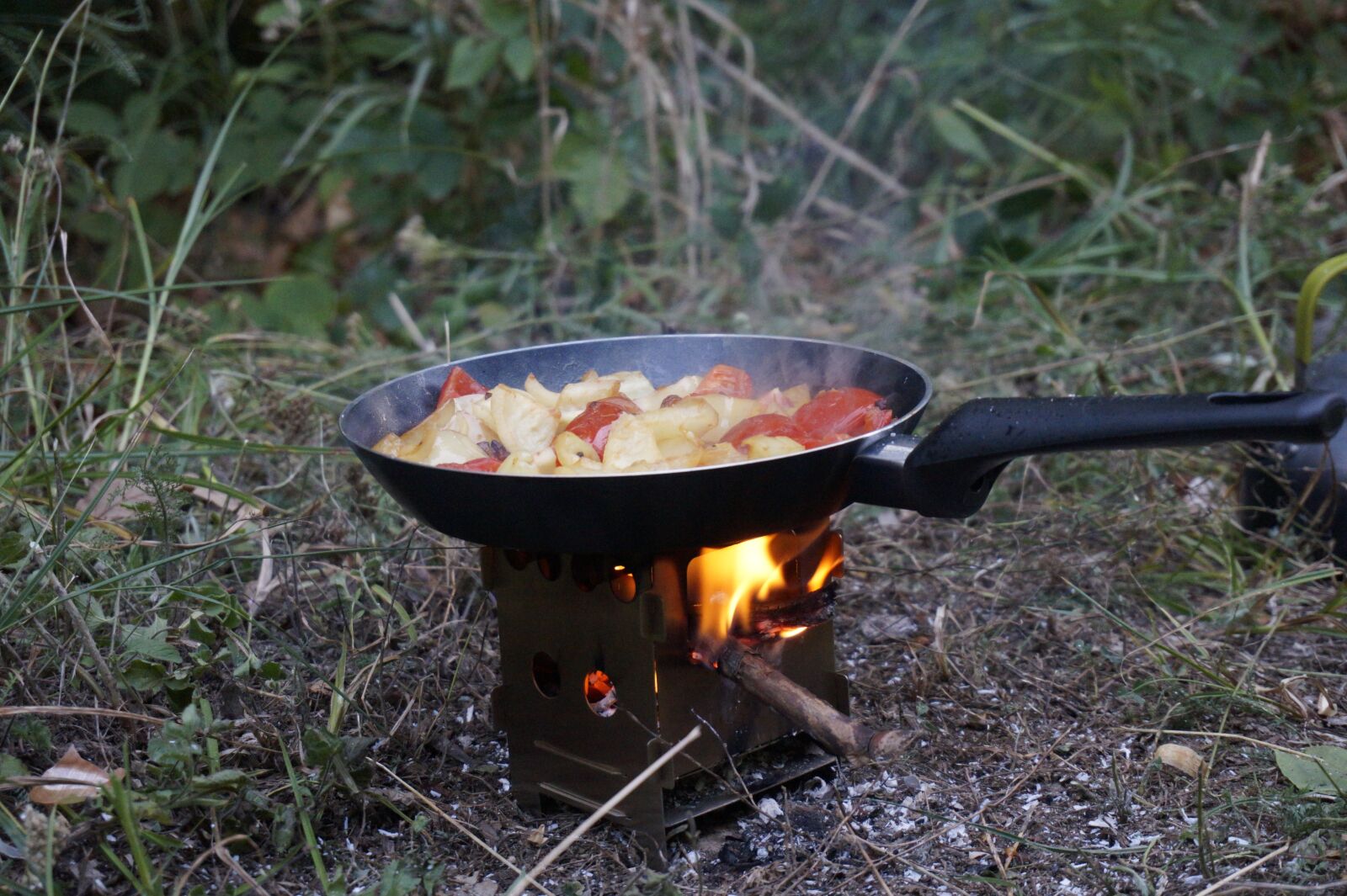 Sony Alpha a5000 (ILCE 5000) sample photo. Nature, food, ratatouille photography
