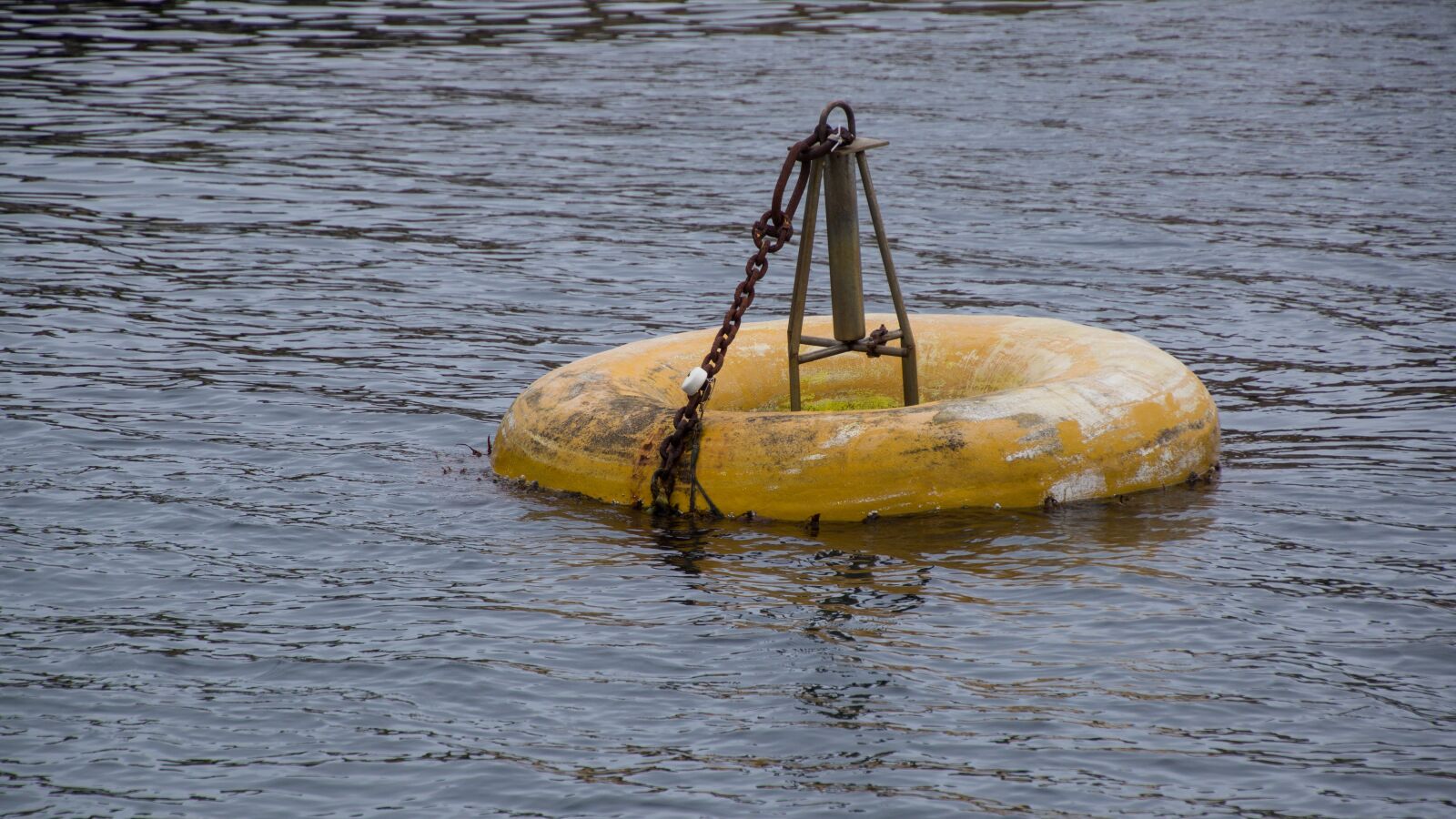 Sony SLT-A65 (SLT-A65V) + Tamron 16-300mm F3.5-6.3 Di II VC PZD Macro sample photo. Buoy, marker, ocean photography