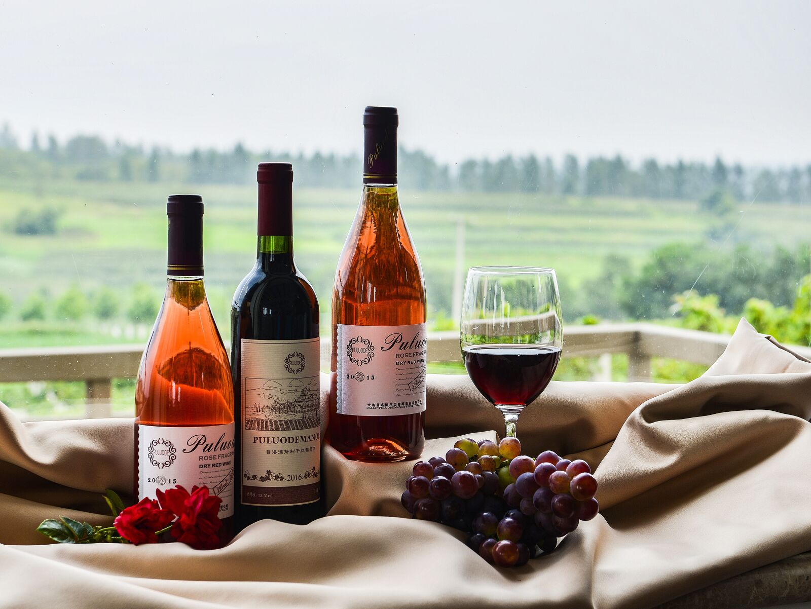 Nikon D800 sample photo. Cape lode, manor, wine photography
