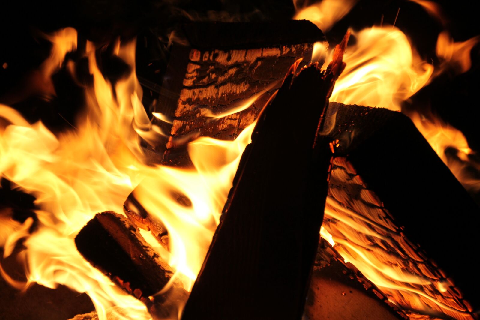 Canon EOS 1100D (EOS Rebel T3 / EOS Kiss X50) sample photo. Fire, embers, wood photography