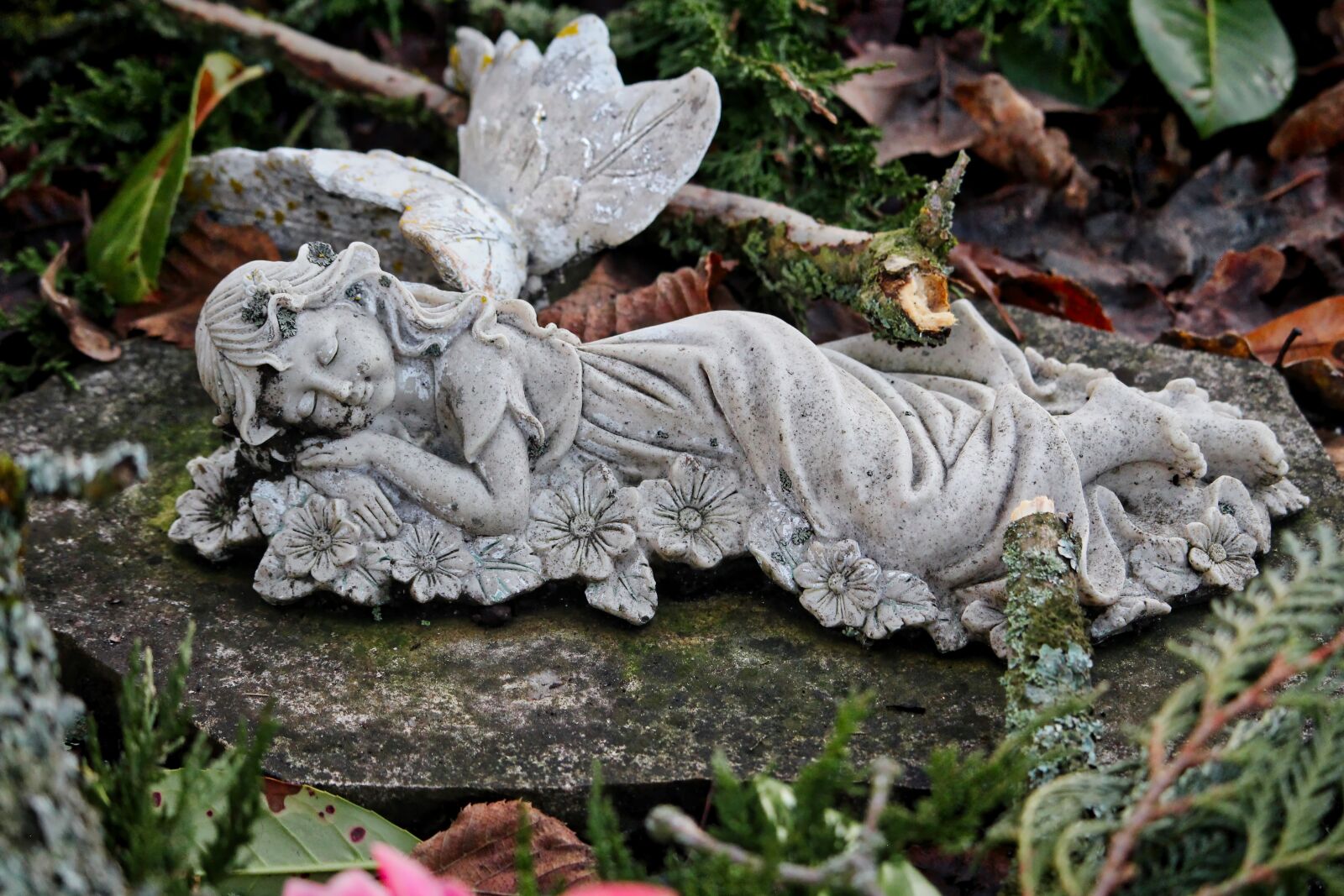 Canon EOS 100D (EOS Rebel SL1 / EOS Kiss X7) sample photo. Angel, cherub, wing photography