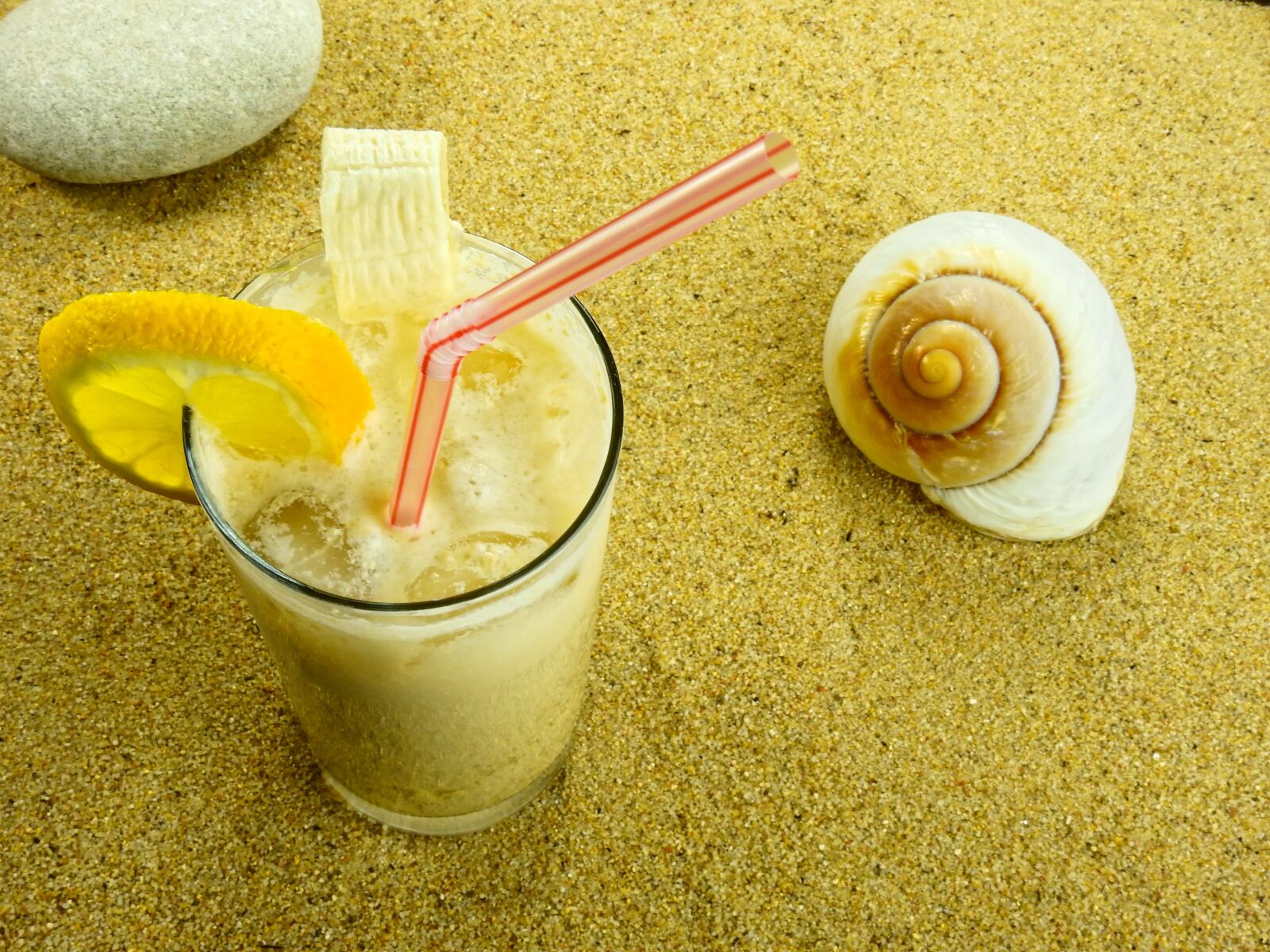 Nikon Coolpix P900 sample photo. Sand, beach, shell photography