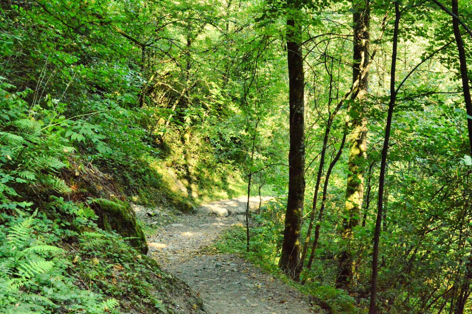 Nikon D3200 sample photo. Path, landscape, haute-savoie photography