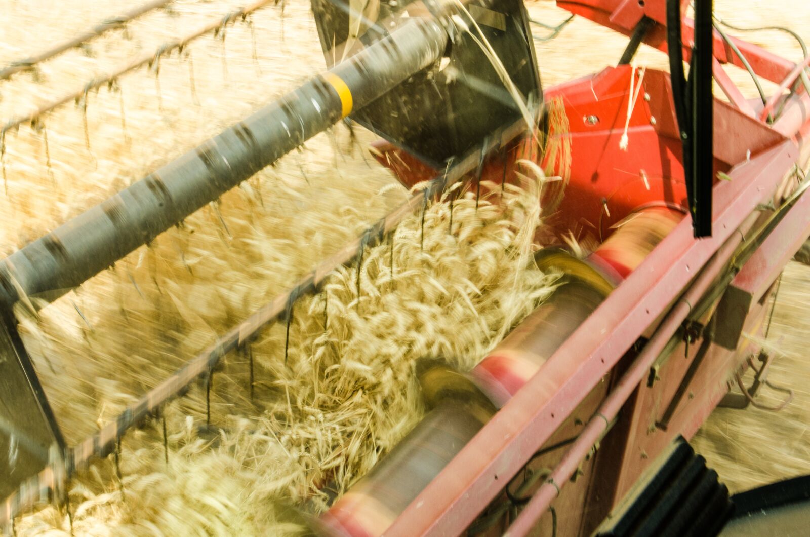 Nikon D7000 sample photo. Harvest, crops, agriculture photography