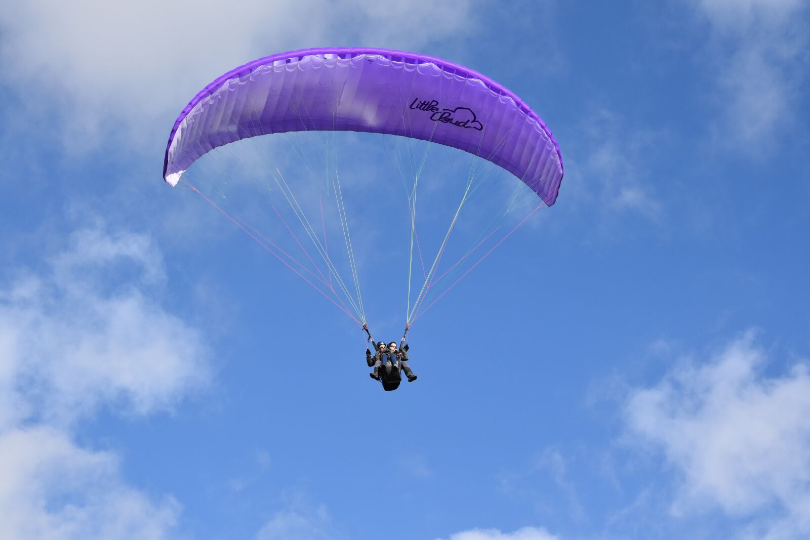Nikon D5600 sample photo. Paragliding, paragliders, wing purple photography