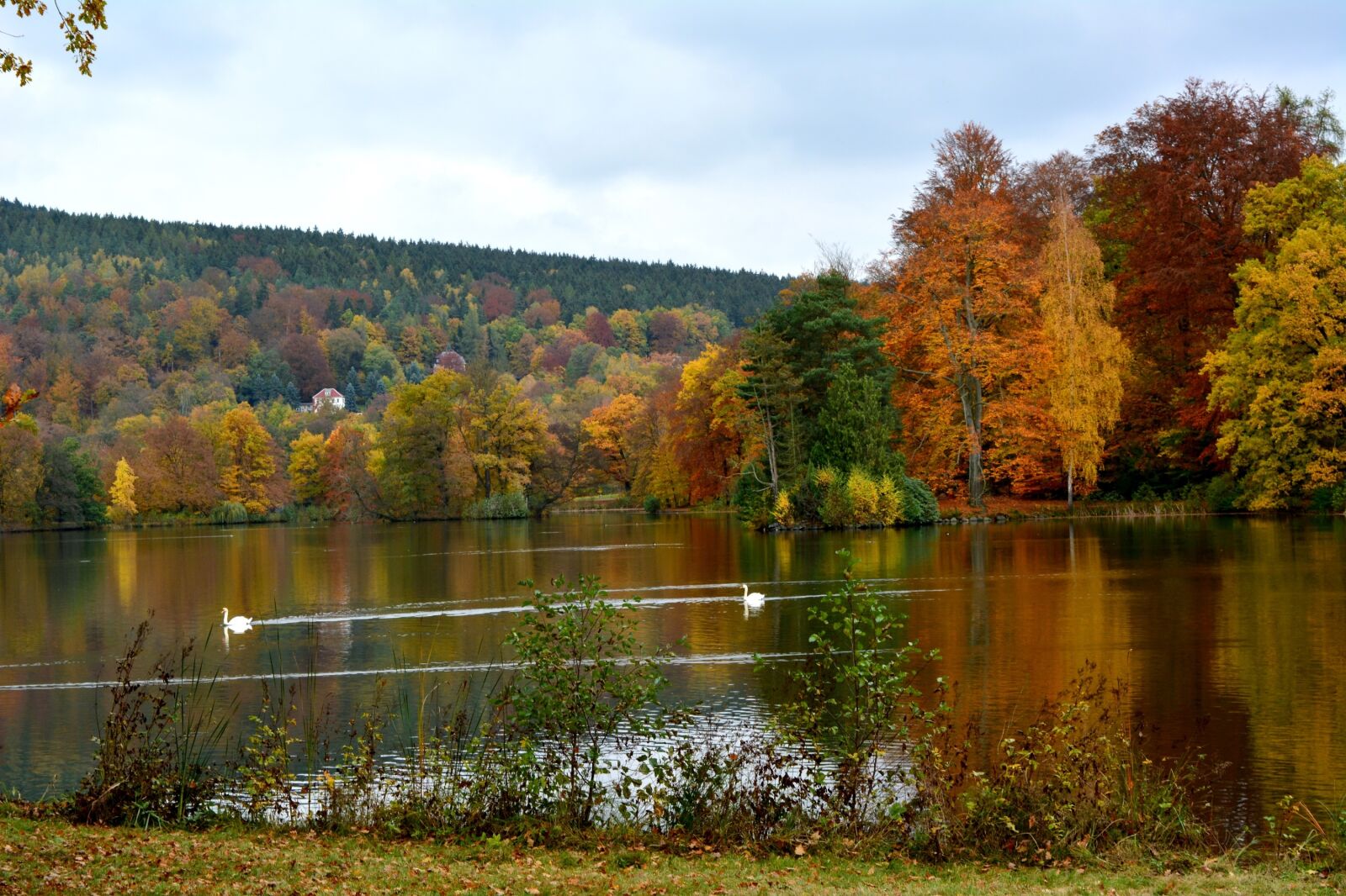 Nikon D5200 sample photo. Autumn, park, greiz photography