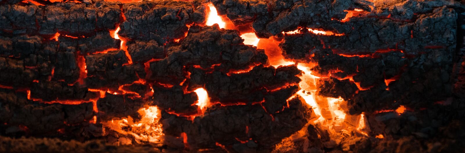 Sony ILCA-77M2 sample photo. Burning, fire, log, red photography