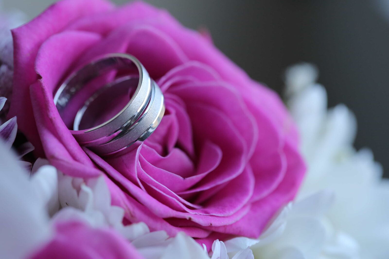 Canon EF 100mm F2.8 Macro USM sample photo. Close-up, elegance, platinum, wedding photography