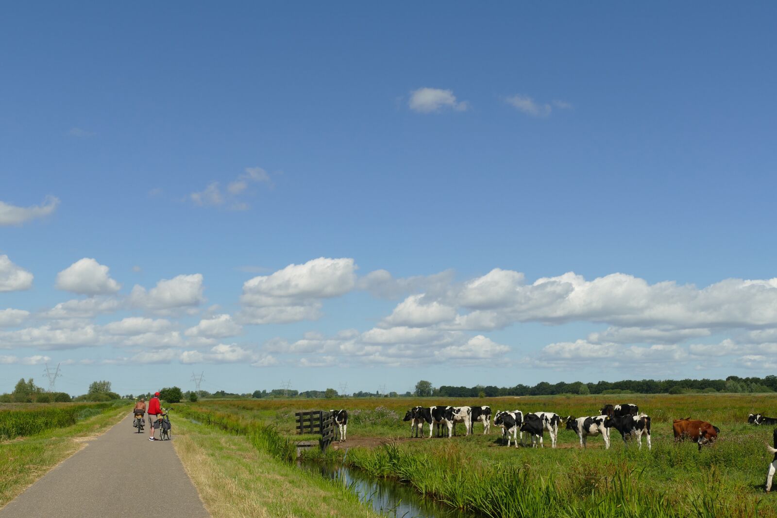 Panasonic Lumix DMC-FZ1000 sample photo. Landscape, agricultural, bike path photography