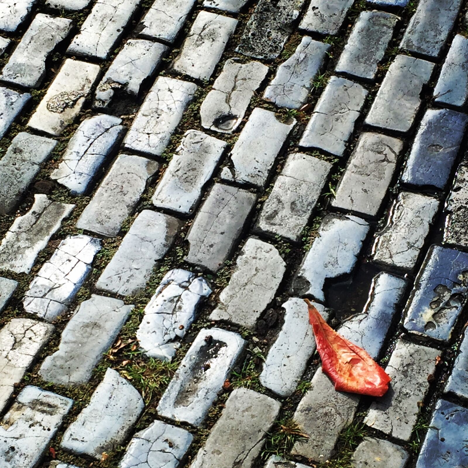 Apple iPhone 6 sample photo. Road, texture, gray photography