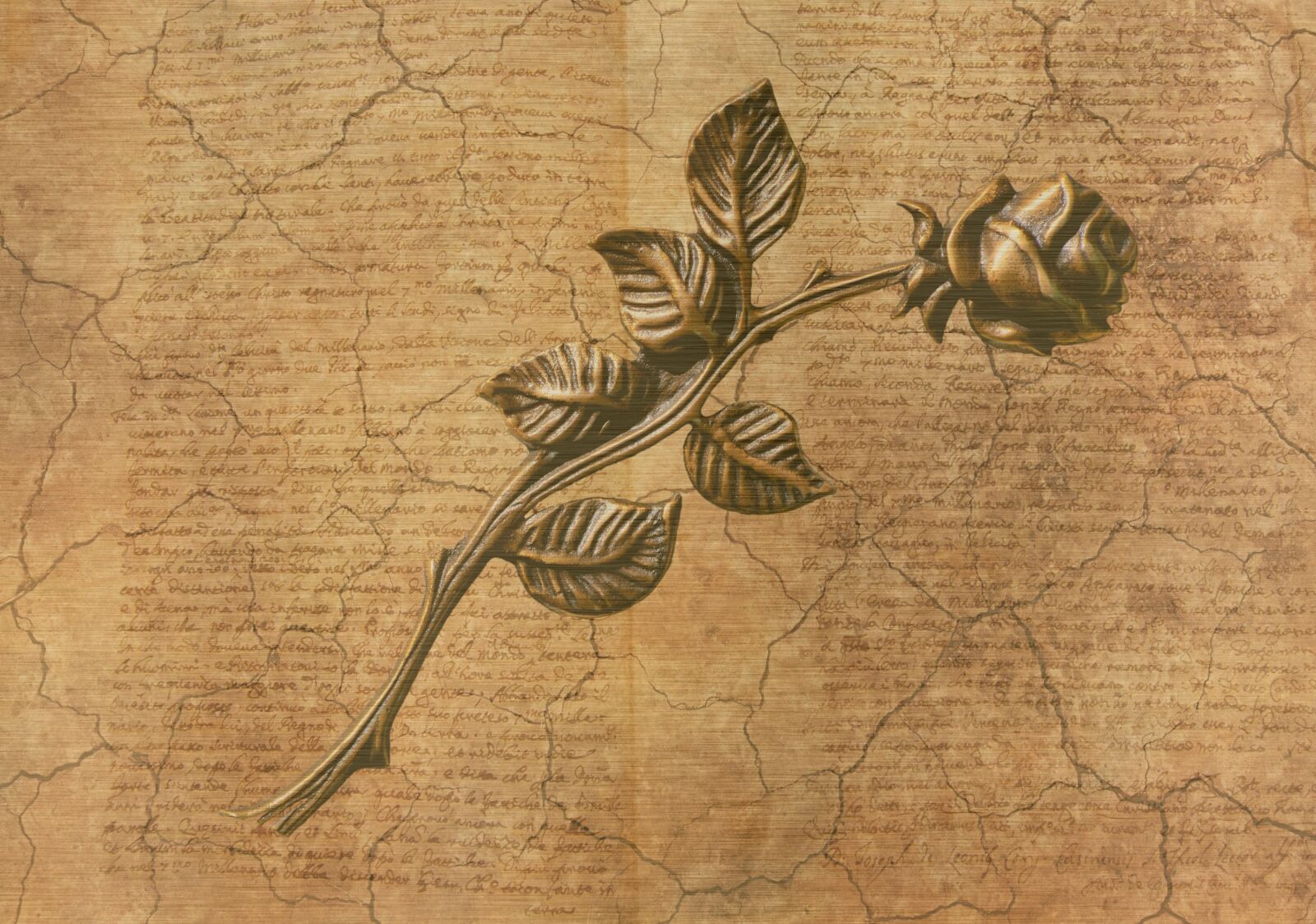 Nikon D60 sample photo. Rose, background, old photography