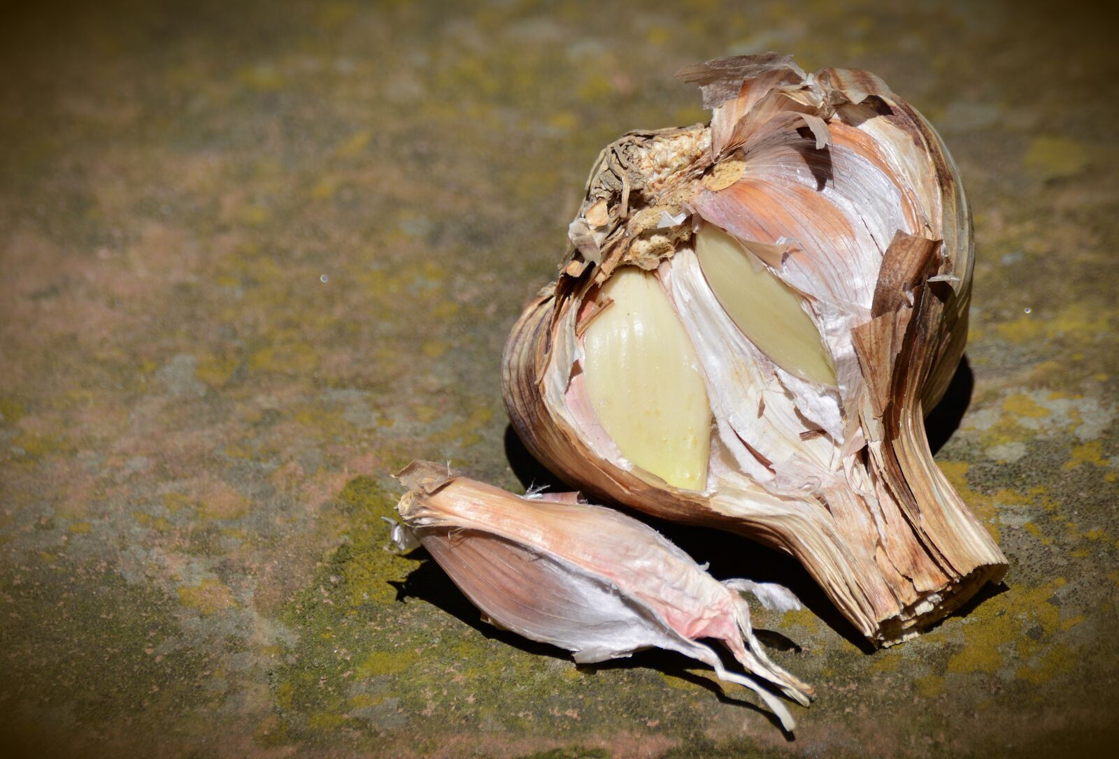 Nikon D5200 sample photo. Garlic, leek, clove of photography