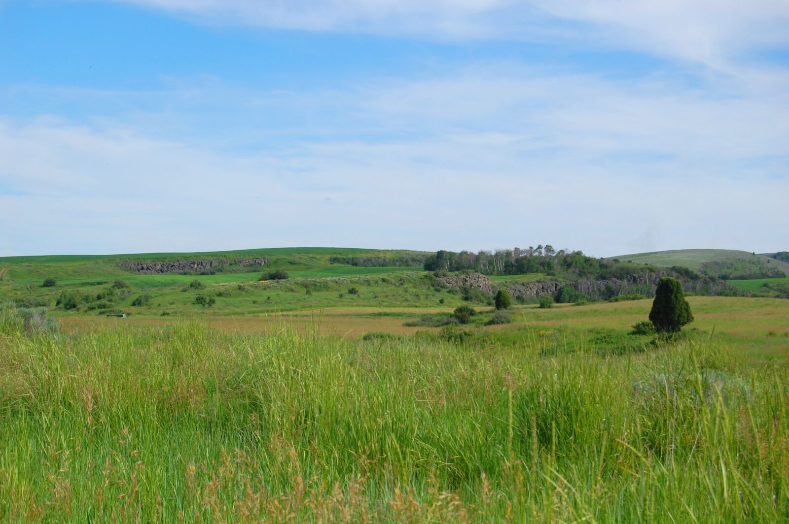 Nikon D40 sample photo. Landscape, prairie, nature photography