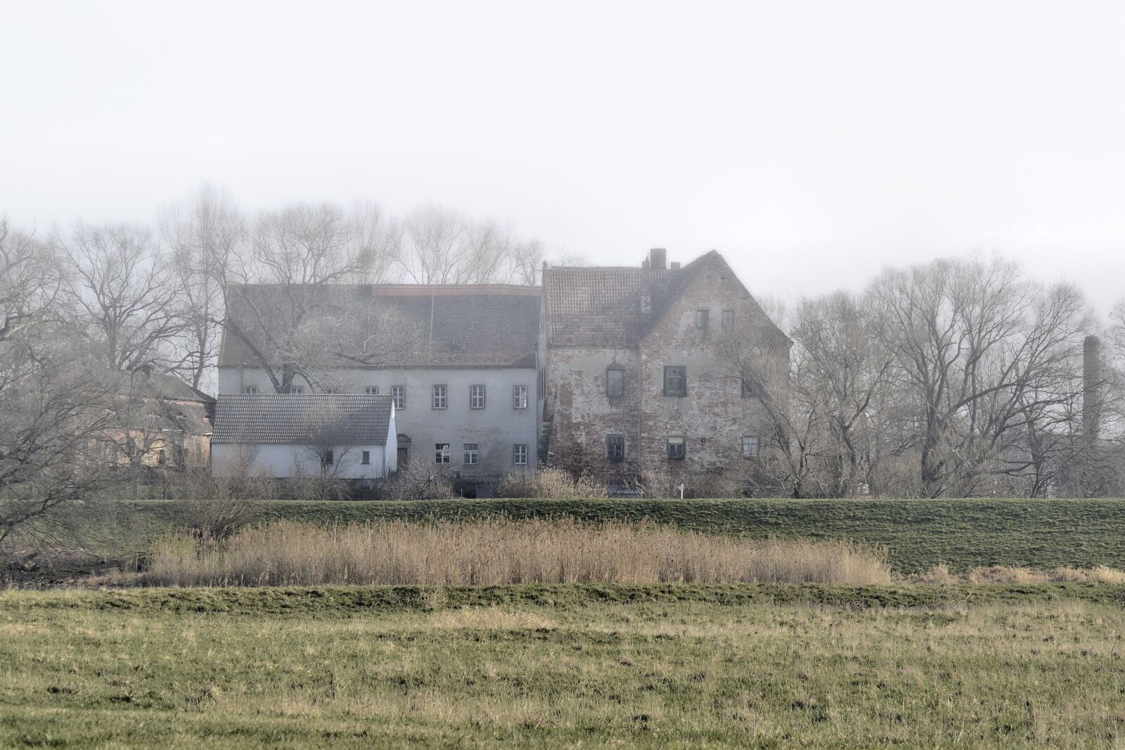 Nikon D3200 sample photo. Landscape, fog, sunrise photography