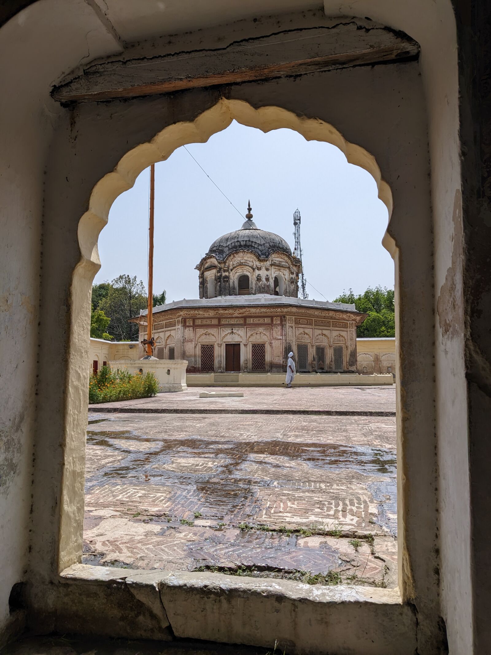 Pixel 5 (redfin) Google sample photo