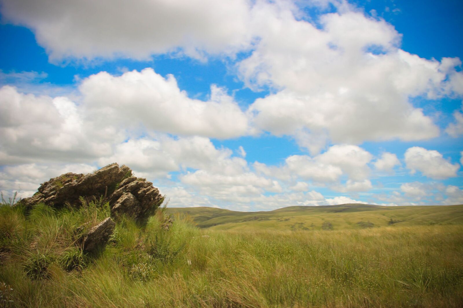 Canon EOS 700D (EOS Rebel T5i / EOS Kiss X7i) sample photo. Sky, grass, blue photography