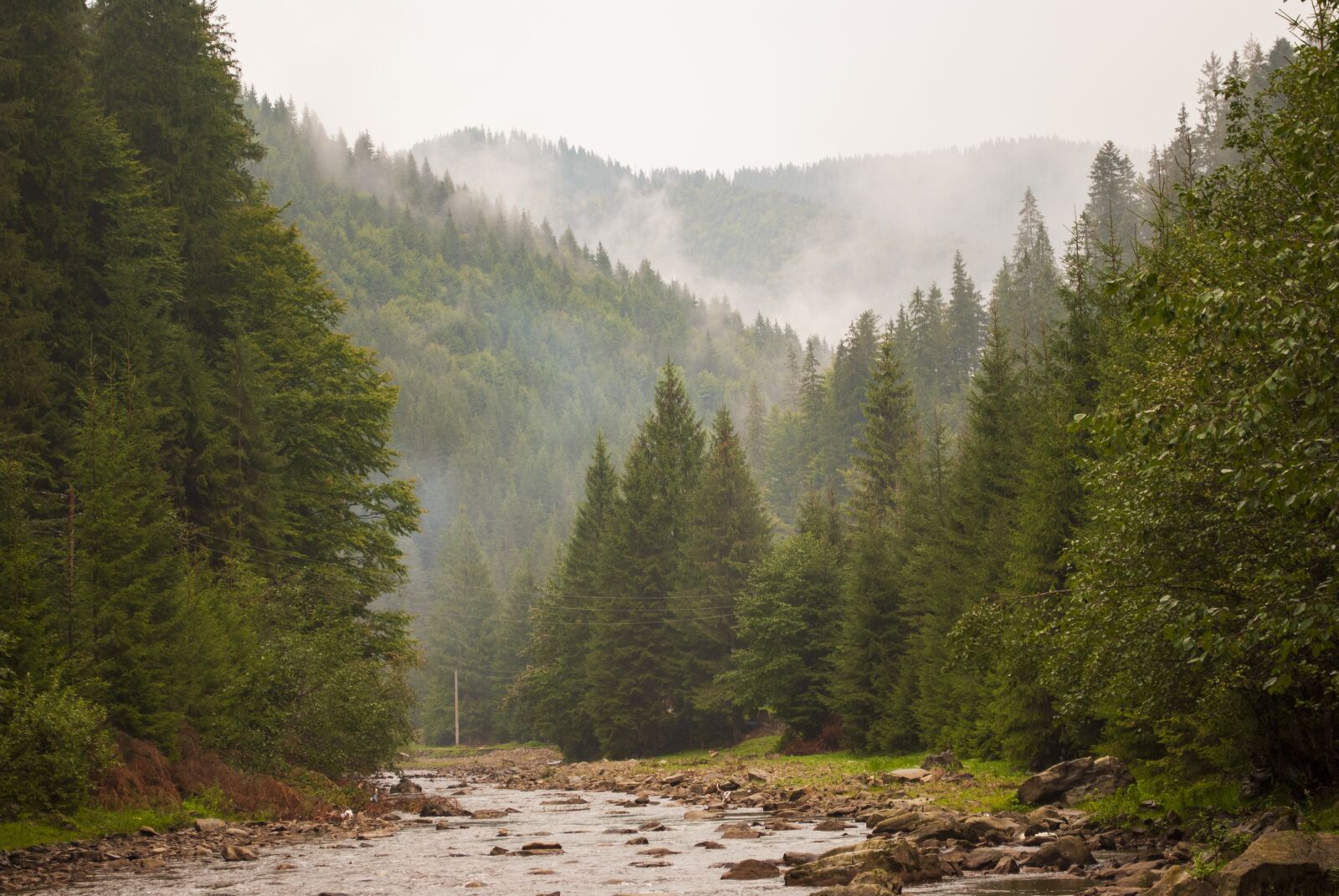 Nikon D3000 sample photo. Forest, river, nature photography