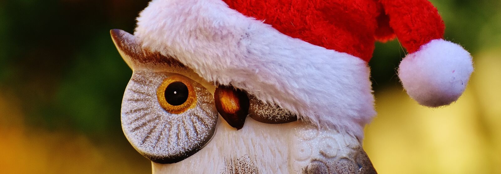 Nikon D7200 sample photo. Christmas, owl, santa hat photography