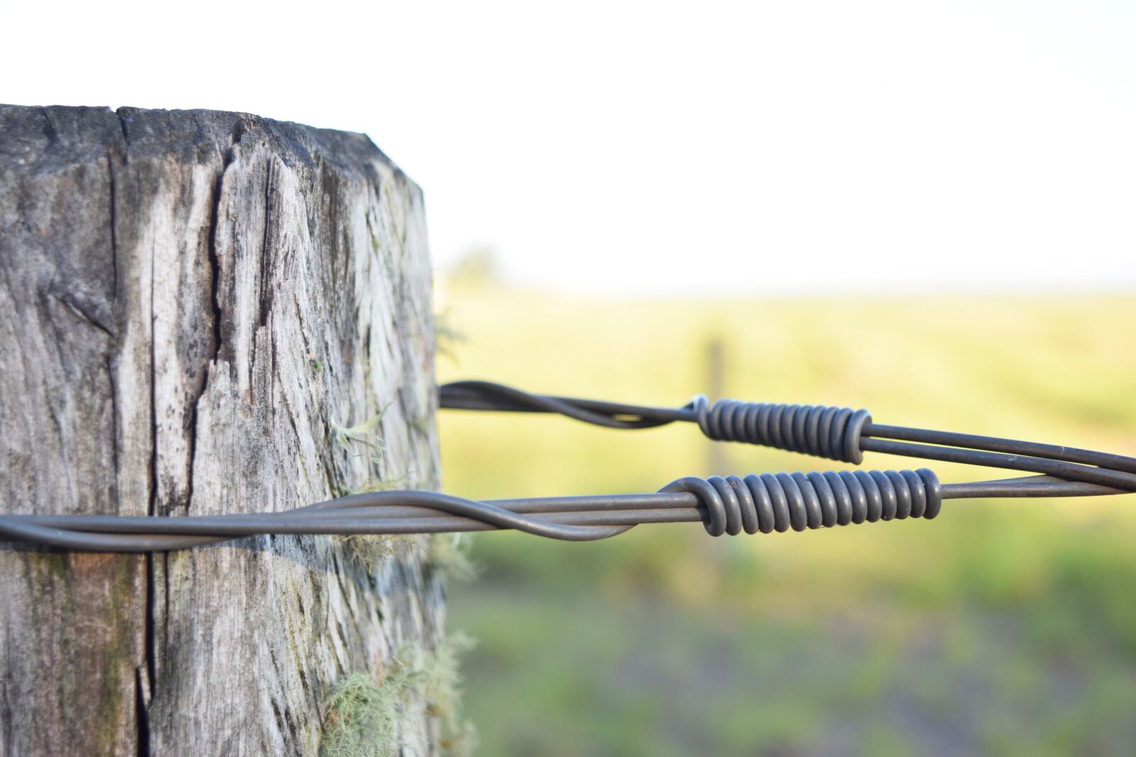 Nikon D3300 sample photo. Reins, wood, field photography
