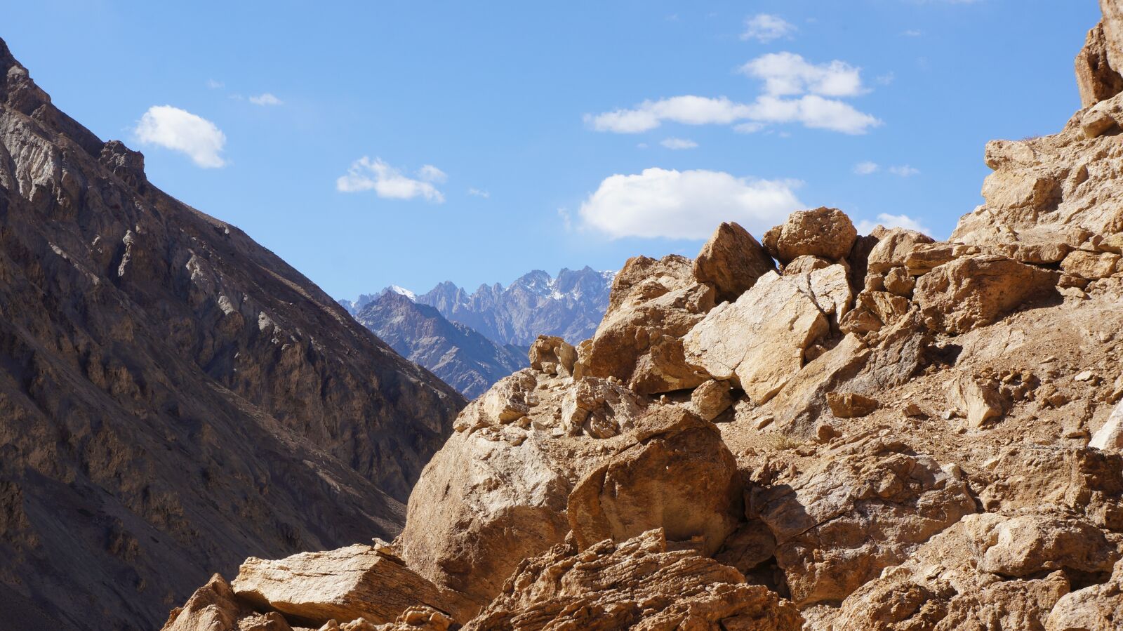 Sony Alpha NEX-5N sample photo. Ladakh, markha valley, himalaya photography