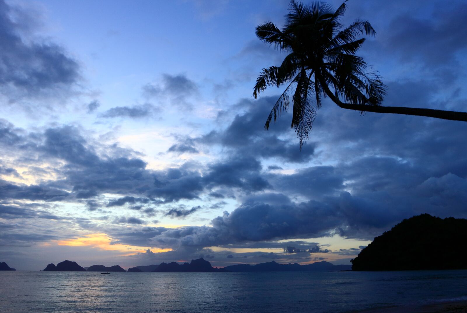 Canon EOS M10 sample photo. Palm tree, beach, islands photography