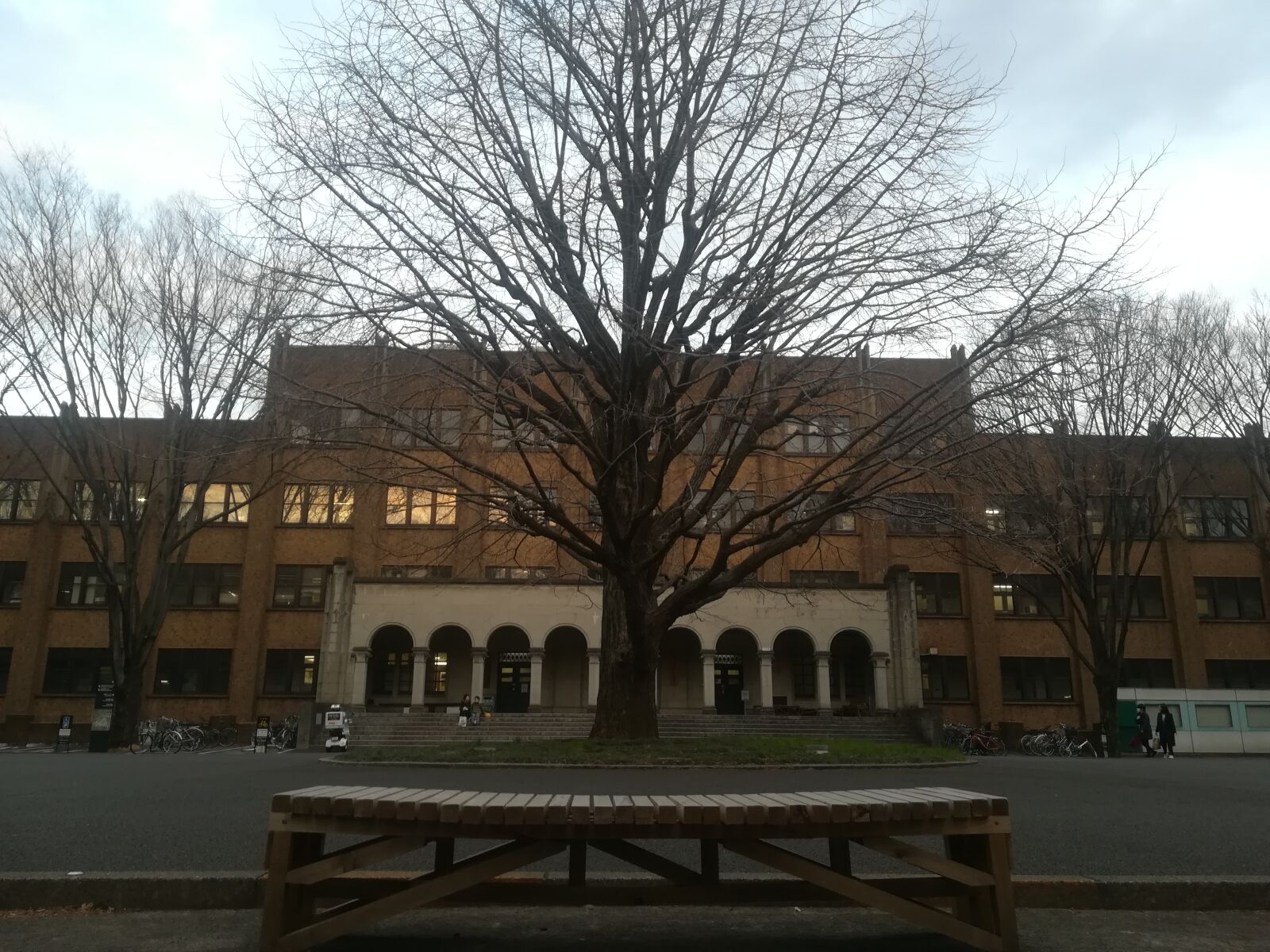 HUAWEI P10 lite sample photo. Tree, nature, university photography