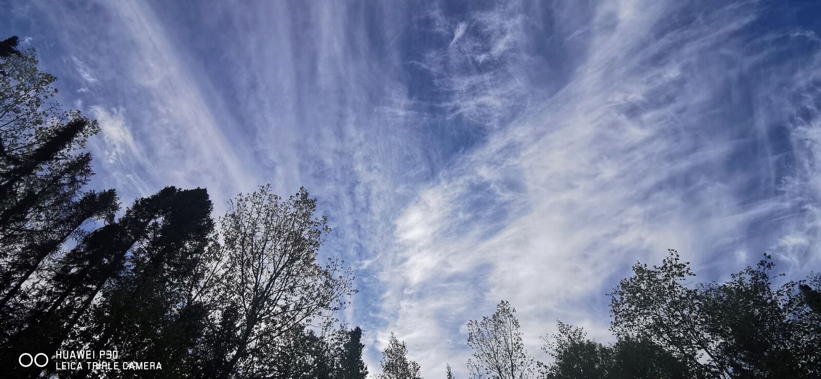 HUAWEI P30 sample photo. Sky, blue, trees photography