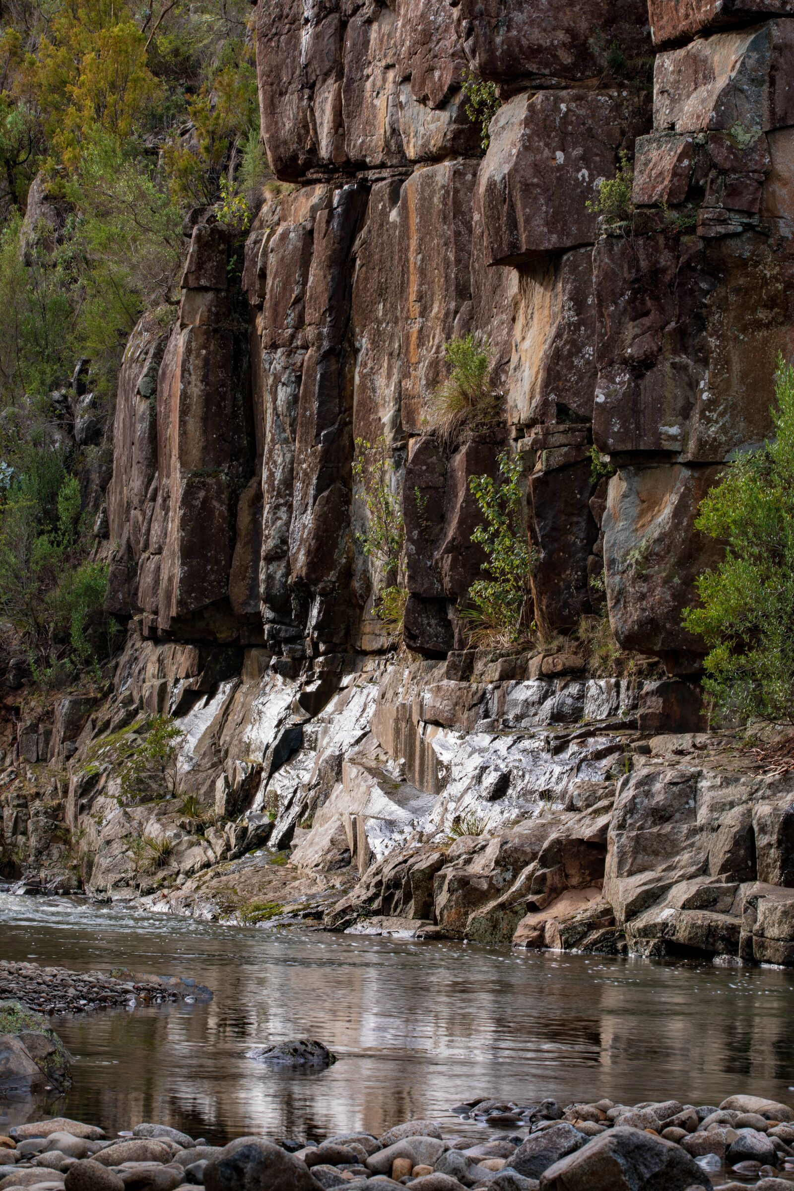 Canon EOS 5D Mark IV sample photo. Australia, tasmania, sandfly photography
