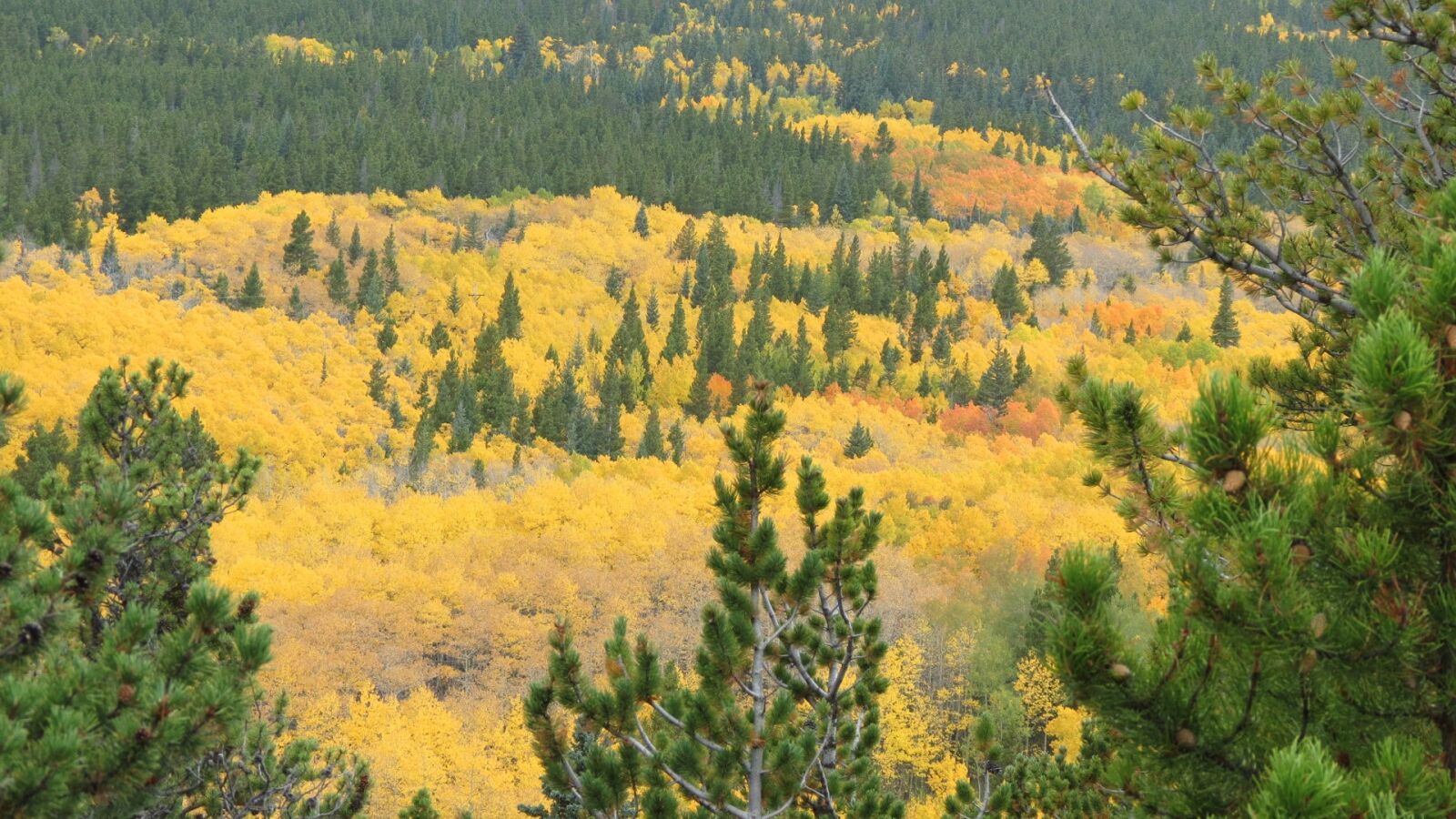 Canon PowerShot SX40 HS sample photo. Rocky, mountain, national photography