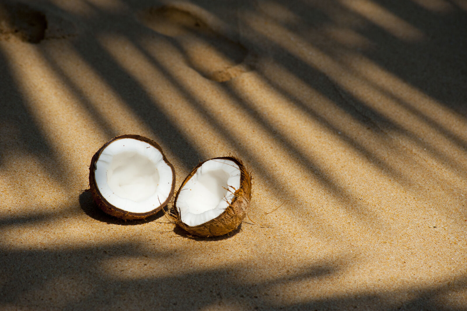 Nikon AF-Nikkor 80-200mm F2.8D ED sample photo. Beach, coconut, delicious, food photography
