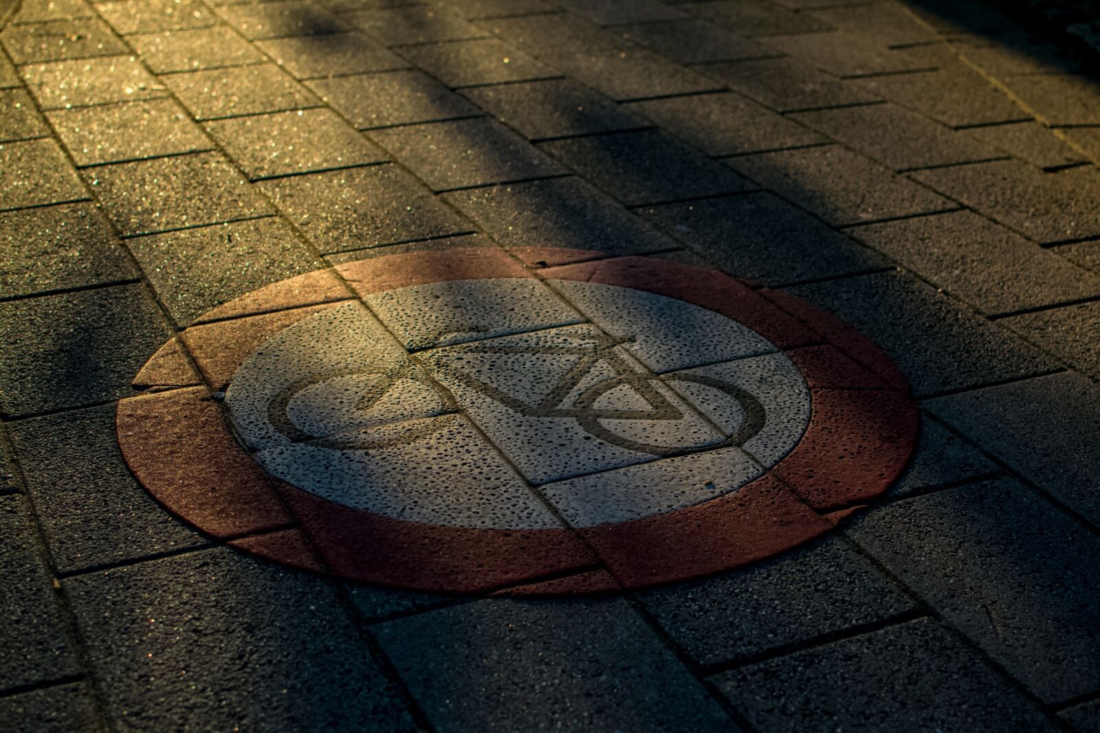 Nikon D3100 sample photo. Shield, shadow, directory photography