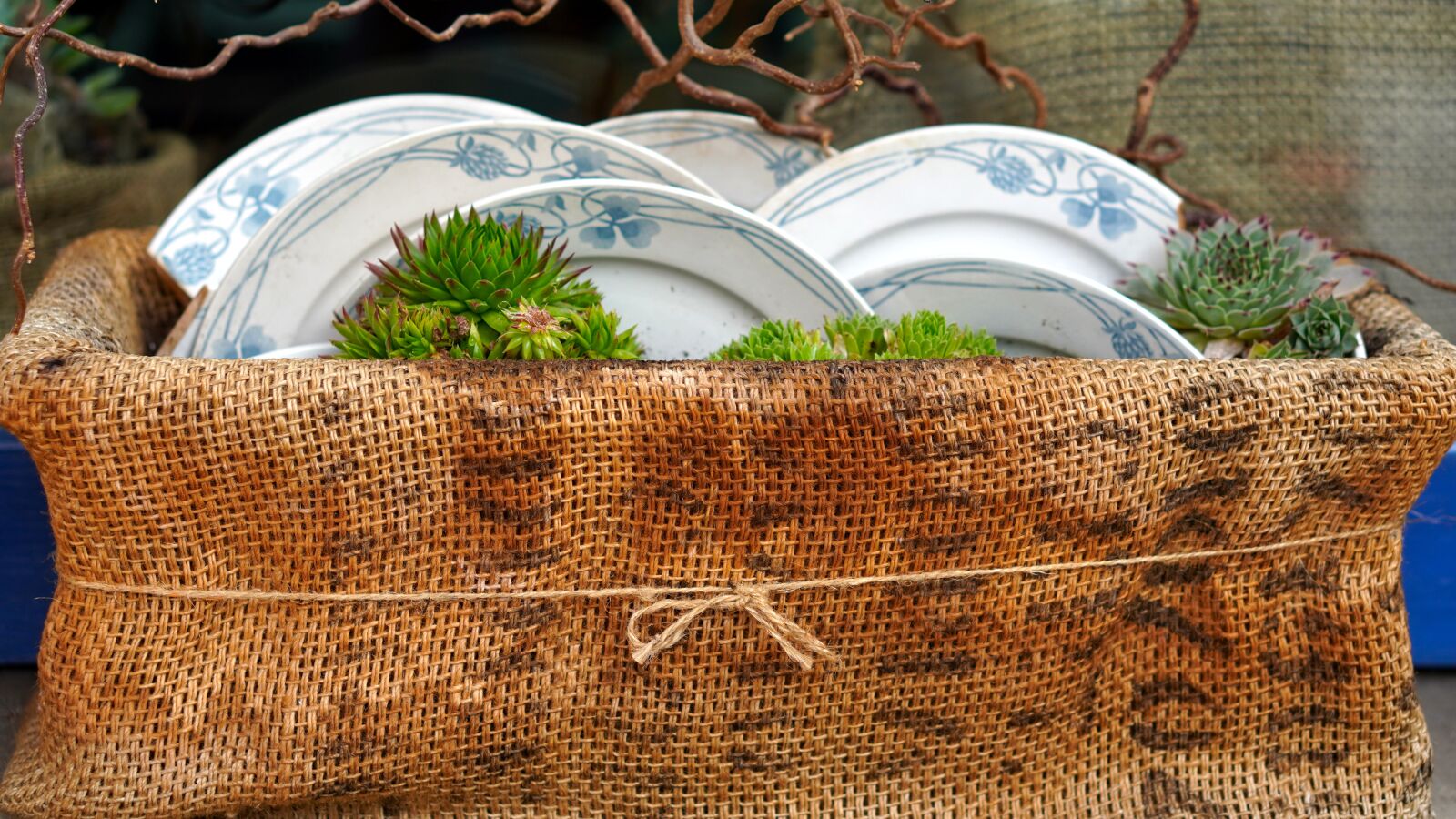 E 50mm F1.8 OSS sample photo. Basket, plate, decoration photography