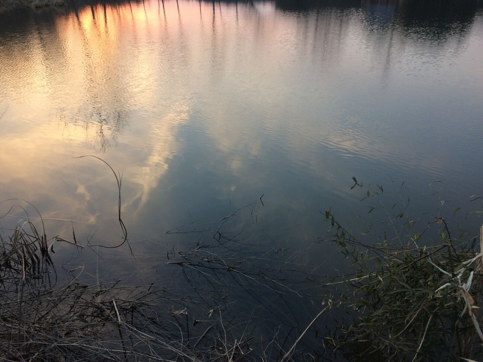 iPhone 5s back camera 4.15mm f/2.2 sample photo. Reflection, sunset, pond photography