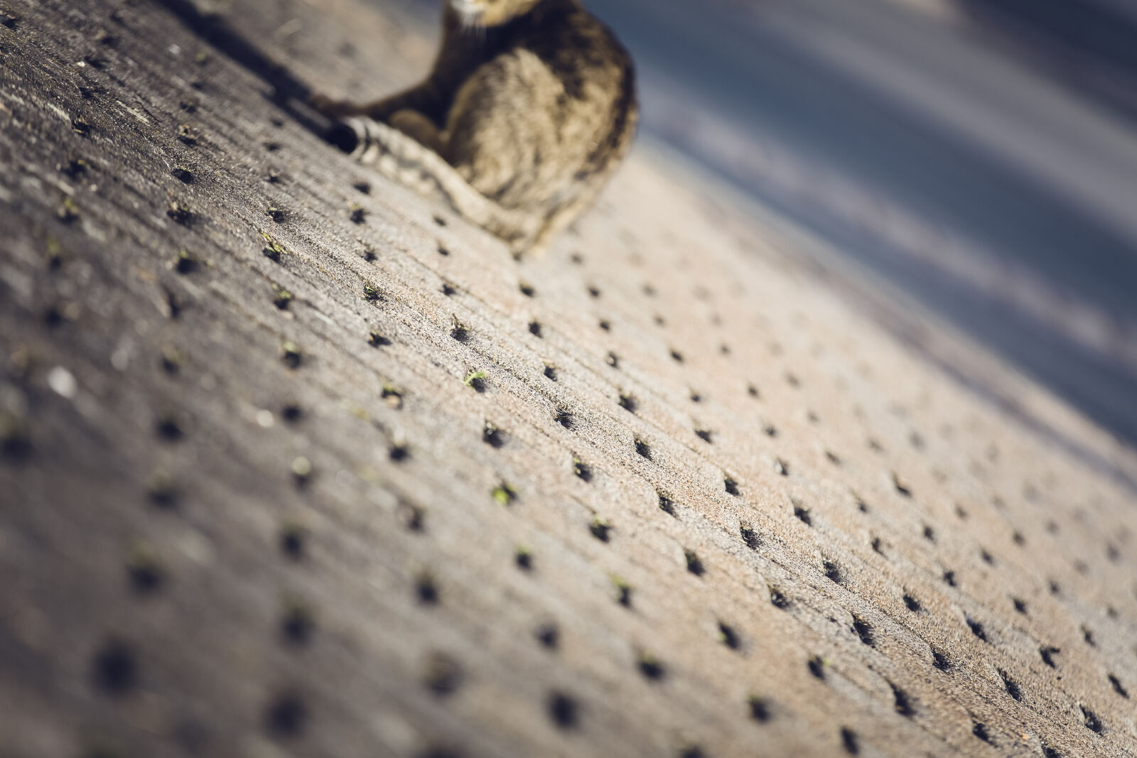 Canon EOS 5D Mark III sample photo