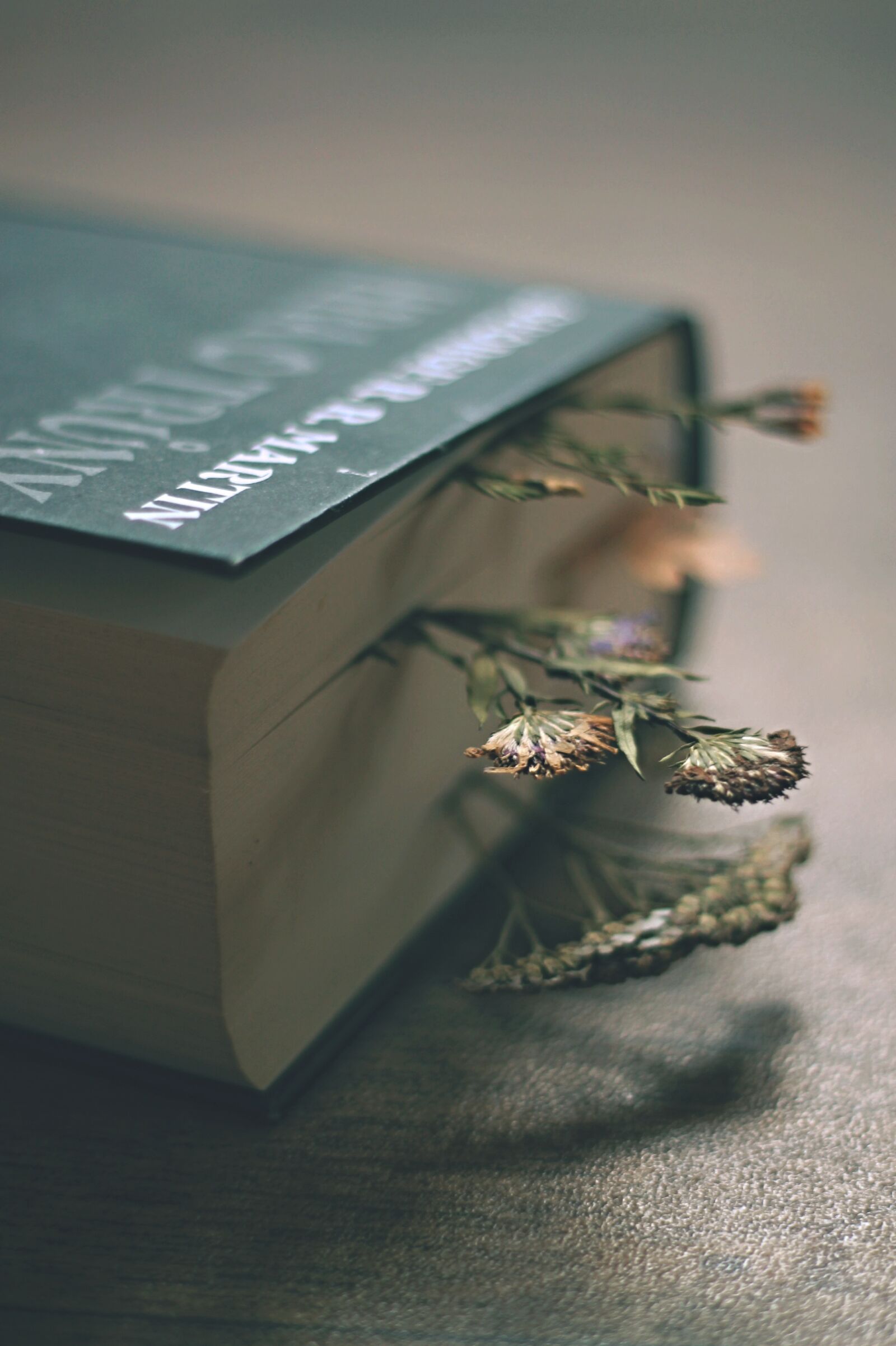 Canon EOS 1100D (EOS Rebel T3 / EOS Kiss X50) + Canon EF 50mm F1.8 II sample photo. Book, game of thrones photography