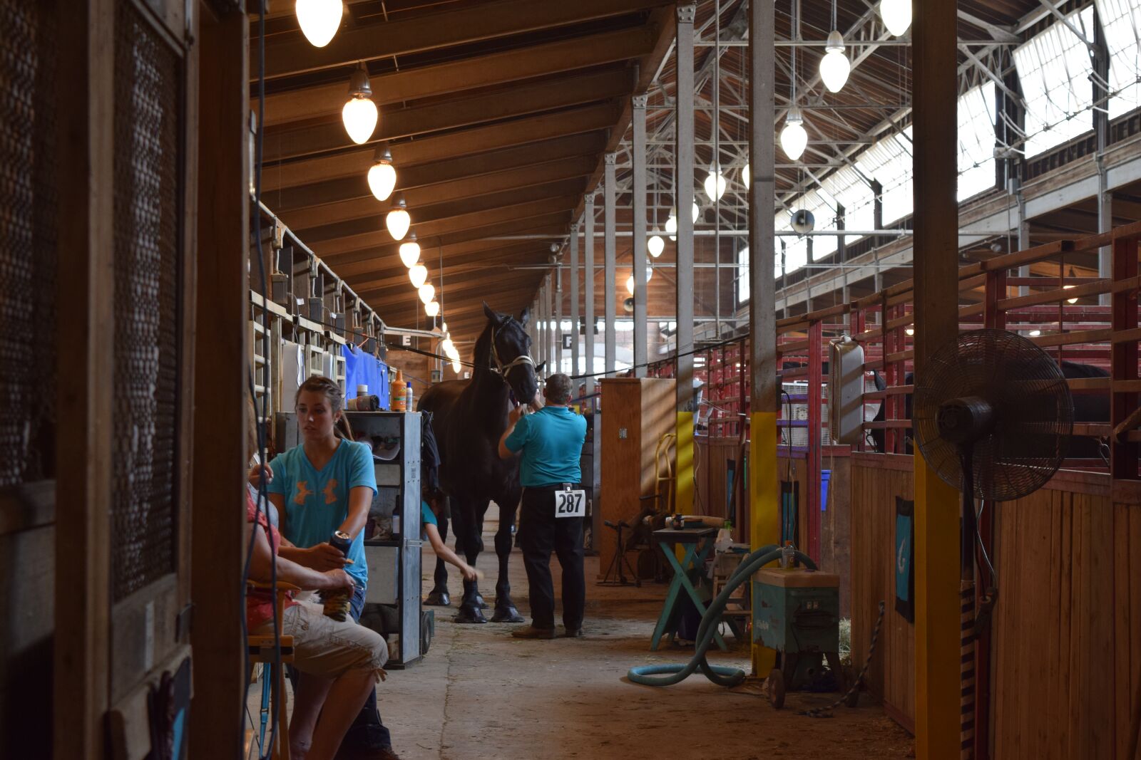Nikon D5300 sample photo. Horse, barn, state fair photography