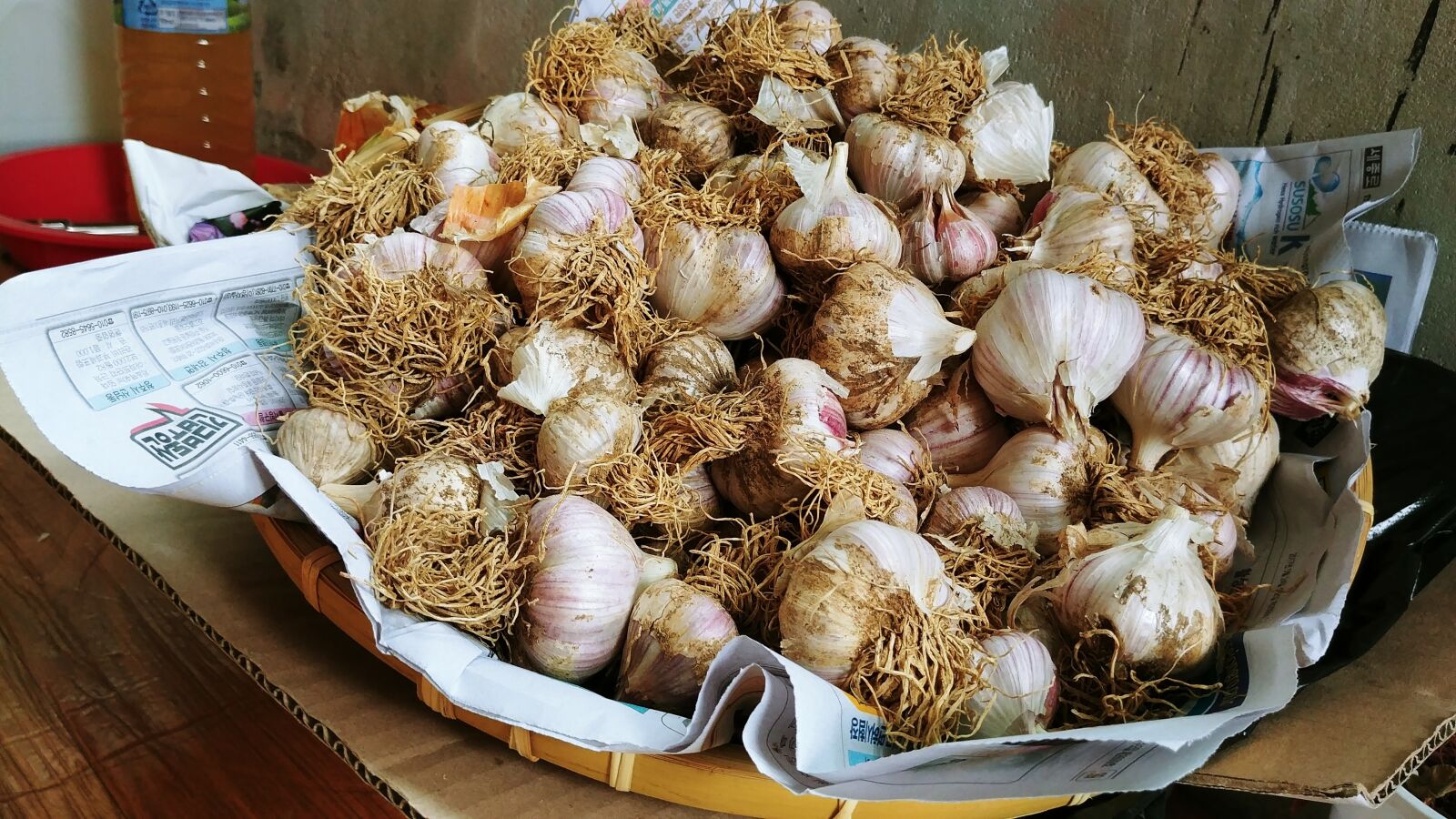 LG G6 sample photo. Garlic, through garlic, harvest photography