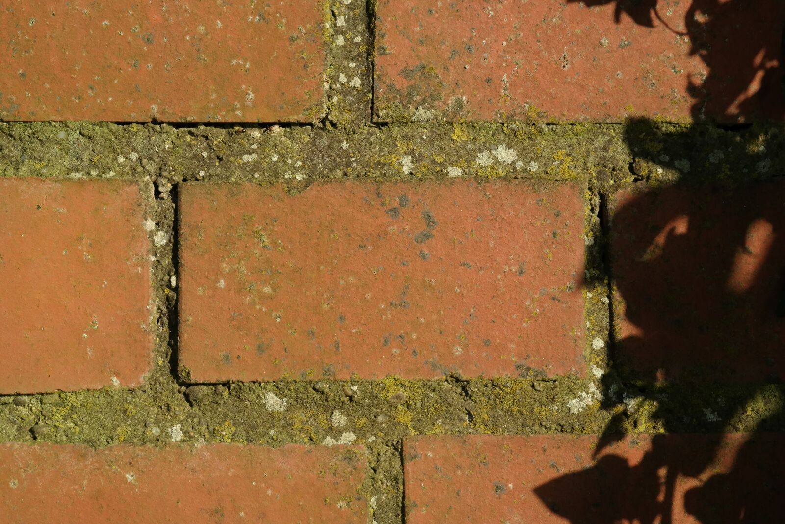 Samsung NX300 sample photo. Wall, brick, brick wall photography