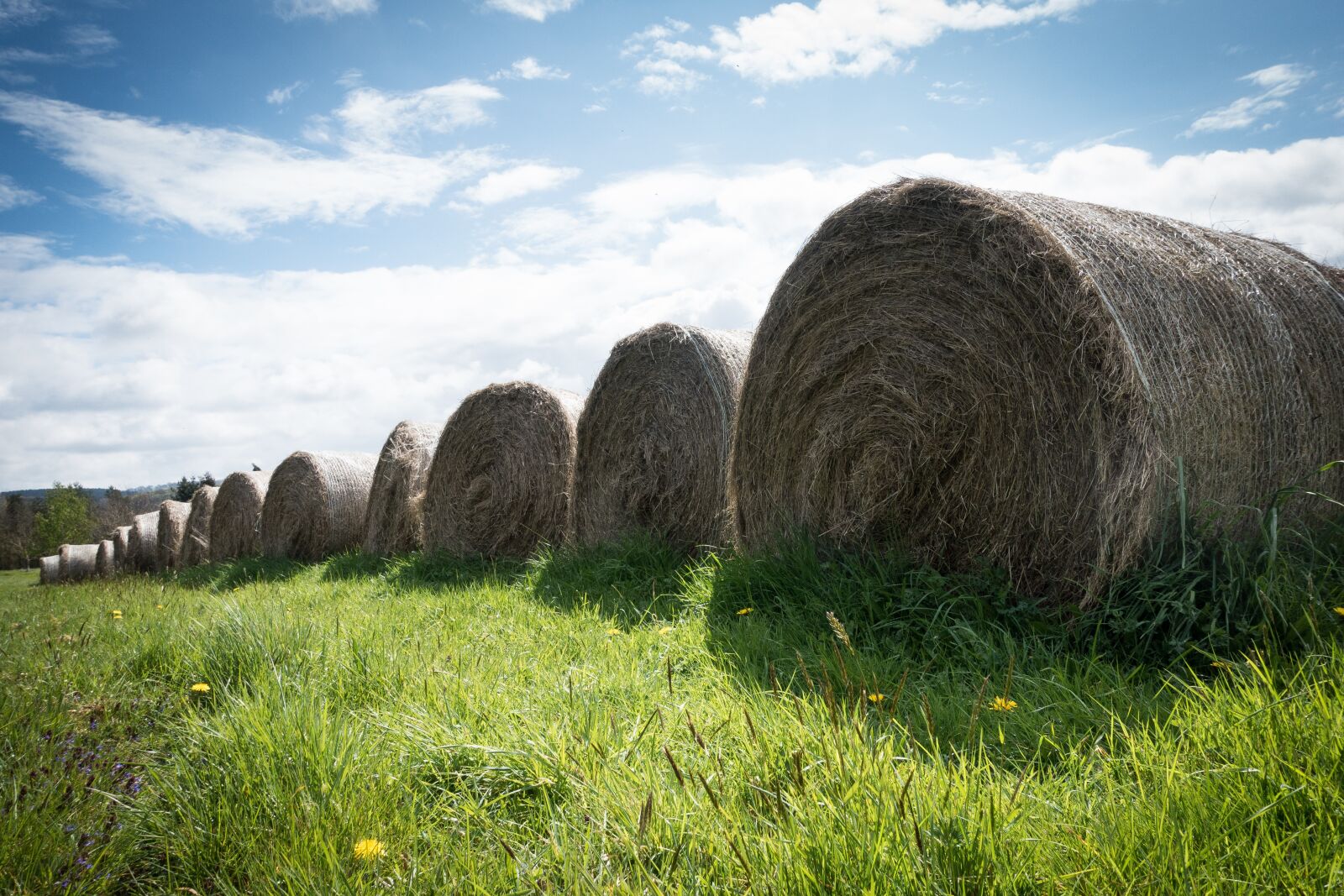 Sony Cyber-shot DSC-RX100 III sample photo. Hay, spring, farm photography