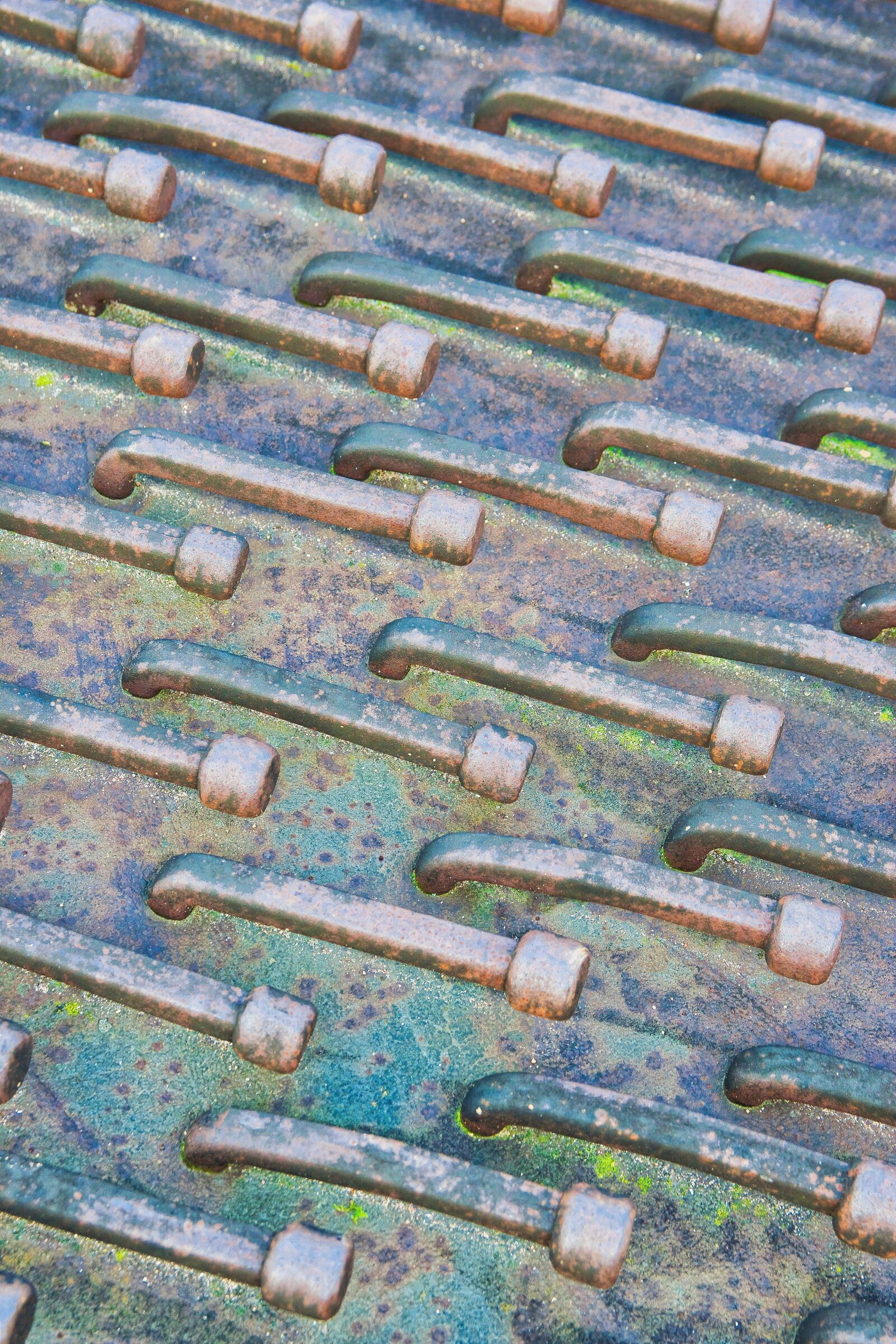 Nikon D5300 sample photo. Nail, nails, krum photography