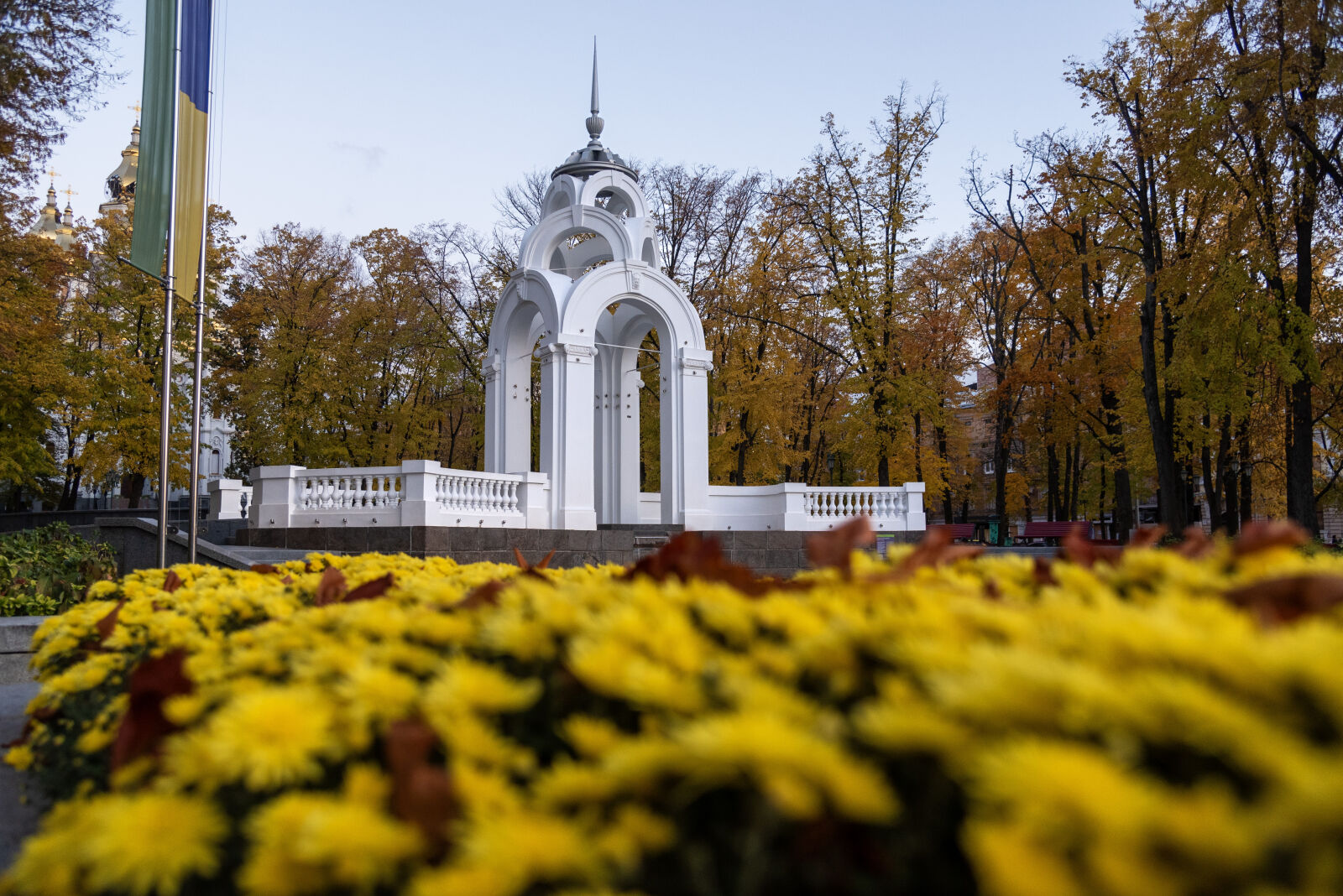 Nikon D750 sample photo