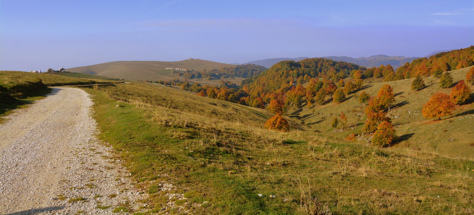 Nikon D7100 sample photo. Excursion, trees, autumn photography
