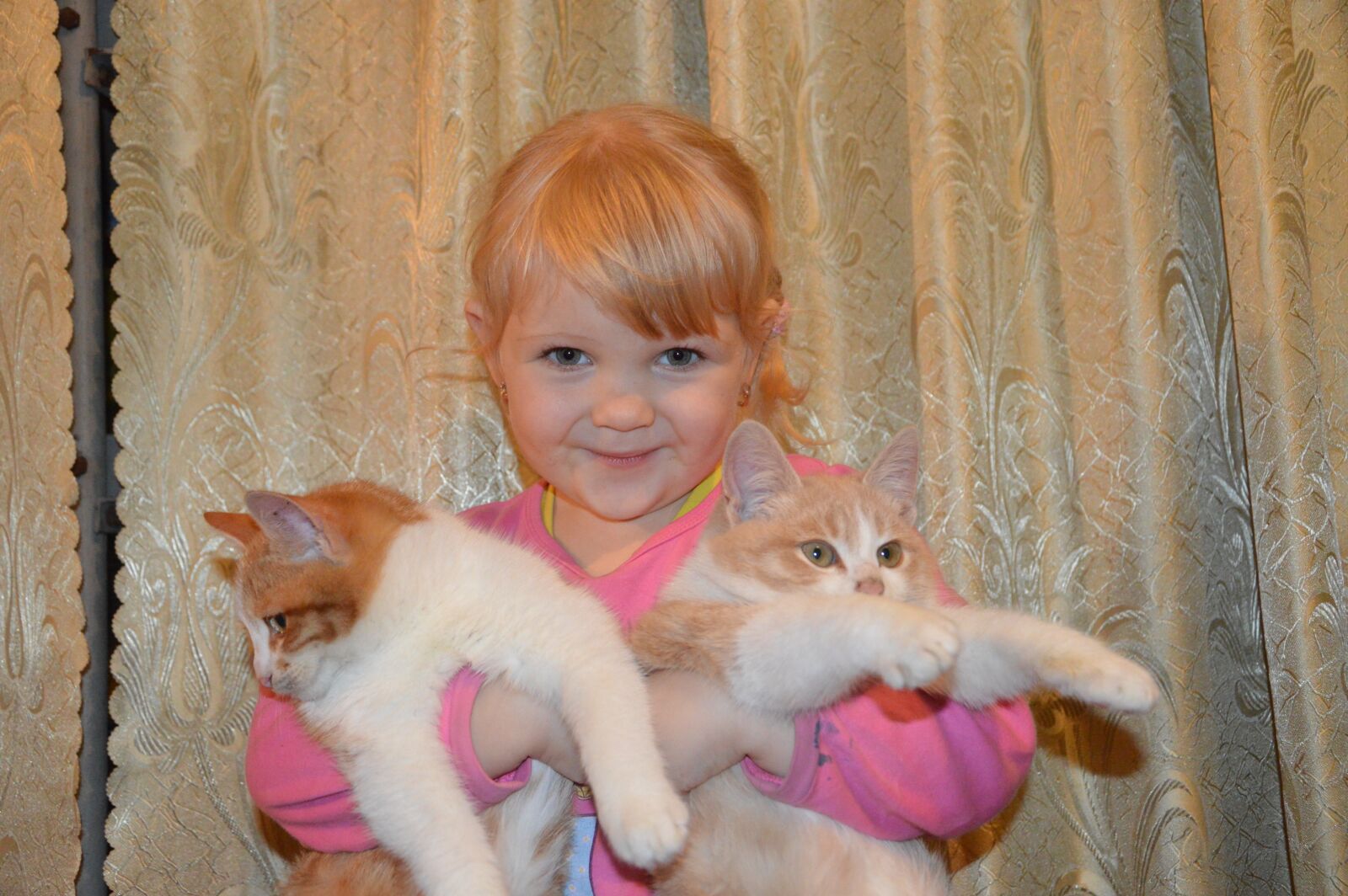 Nikon D3200 sample photo. Baby, girl, cat photography