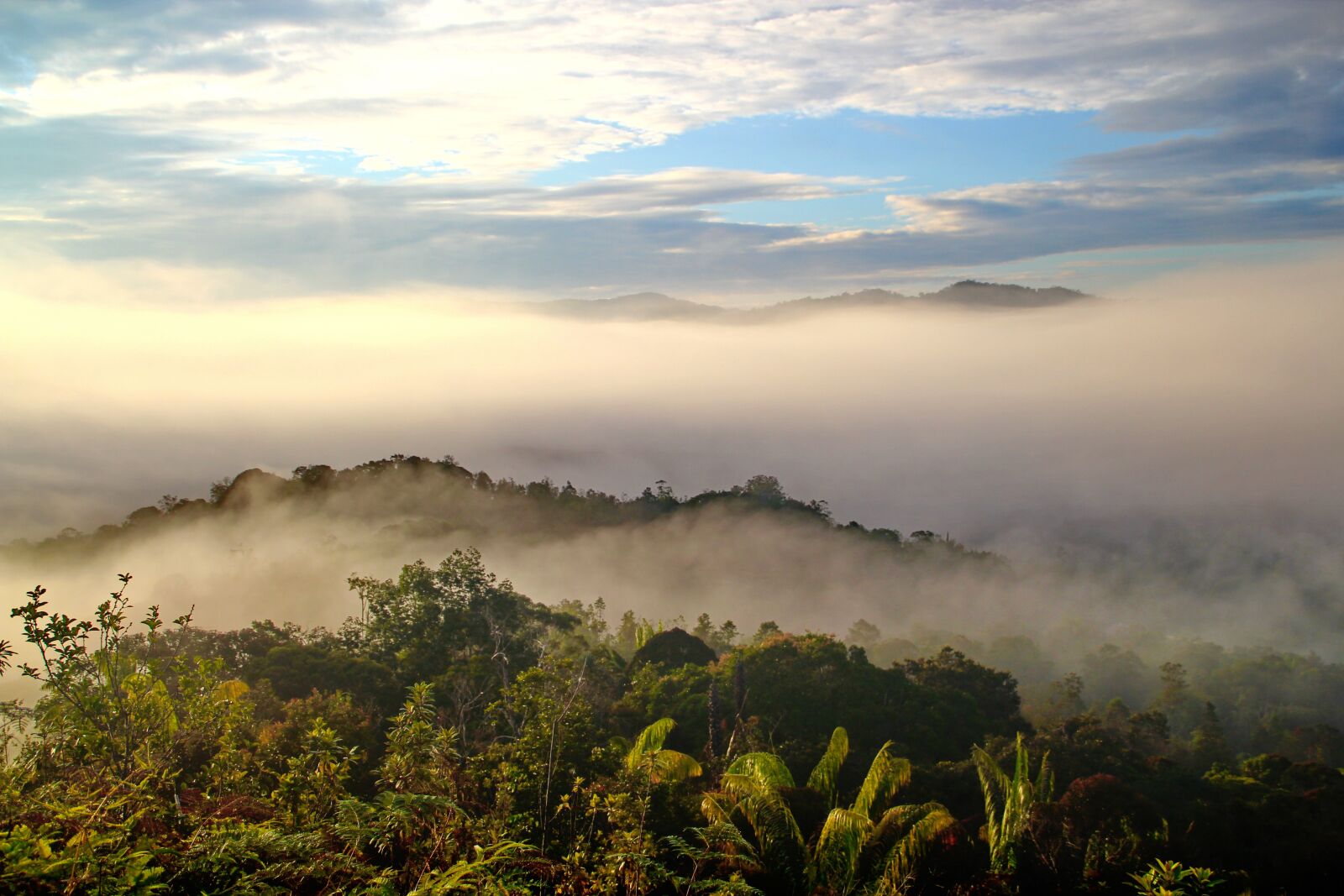 Canon EOS 550D (EOS Rebel T2i / EOS Kiss X4) sample photo. Bario, sarawak, borneo photography