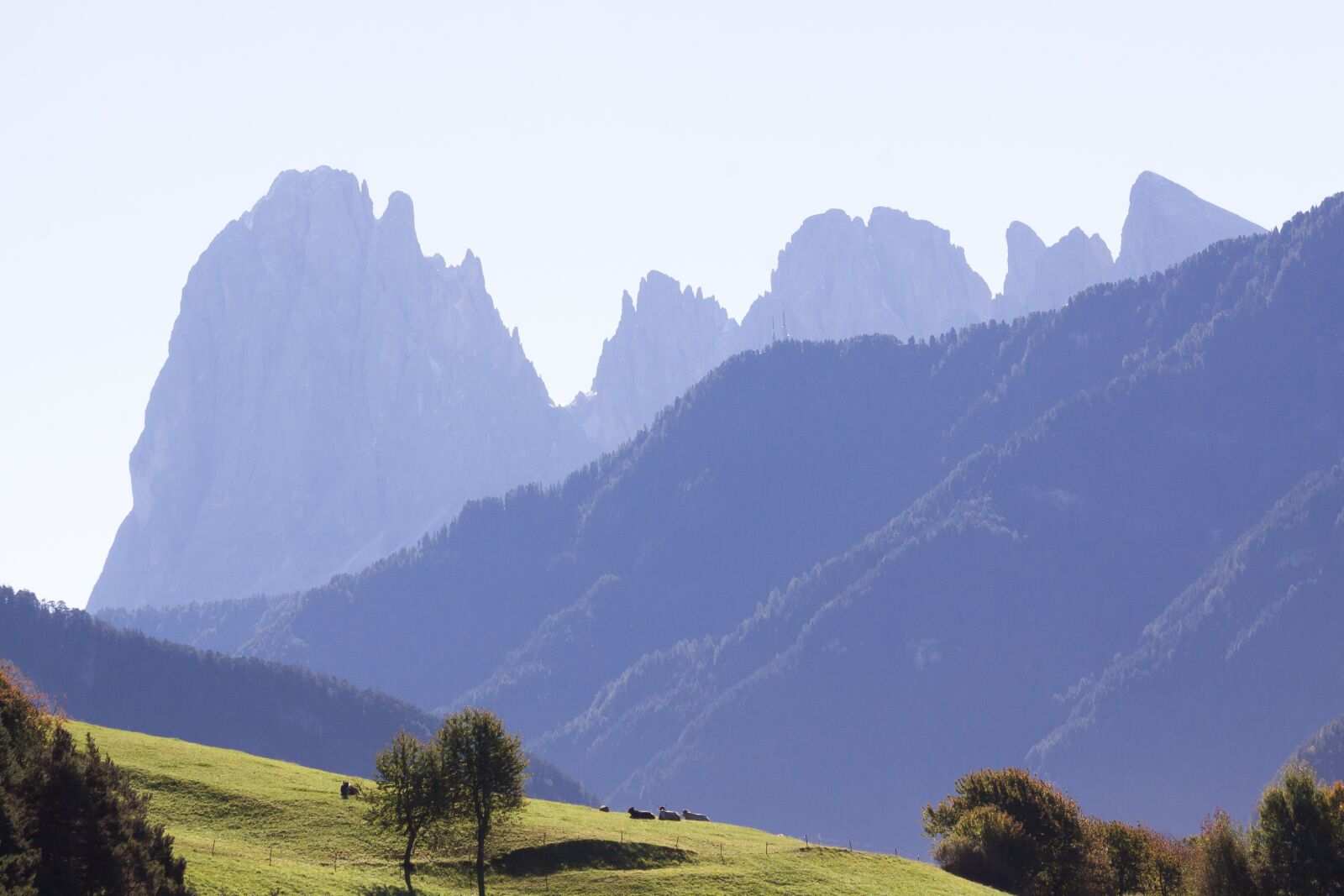 Canon EOS 50D sample photo. Dolomites, italy, south tyrol photography