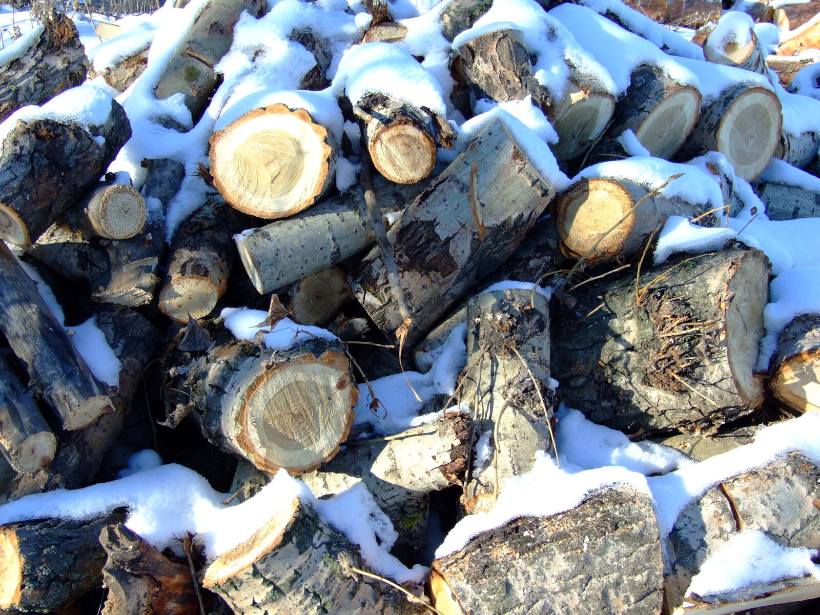 Fujifilm FinePix S6500fd sample photo. Bars, firewood, log, snow photography