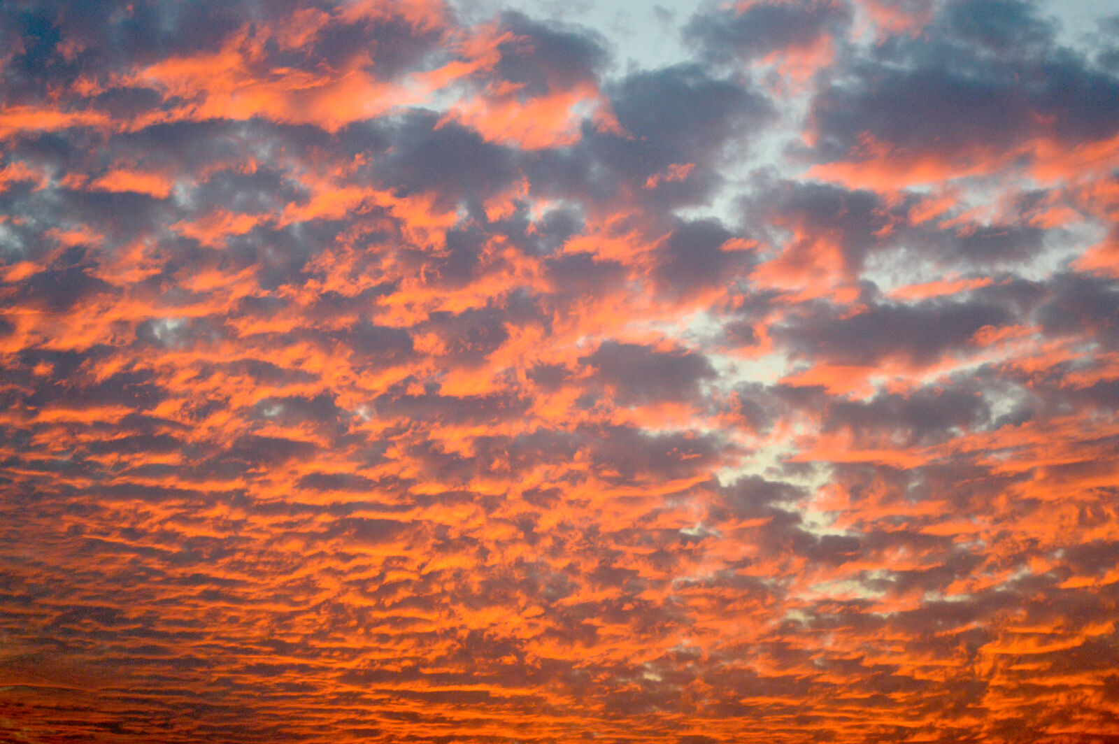 Nikon D3200 sample photo. Clouds, orange, sky photography