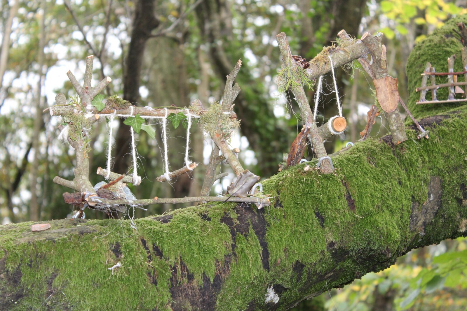 Canon EOS 1200D (EOS Rebel T5 / EOS Kiss X70 / EOS Hi) sample photo. Tree, miniature, garden furniture photography